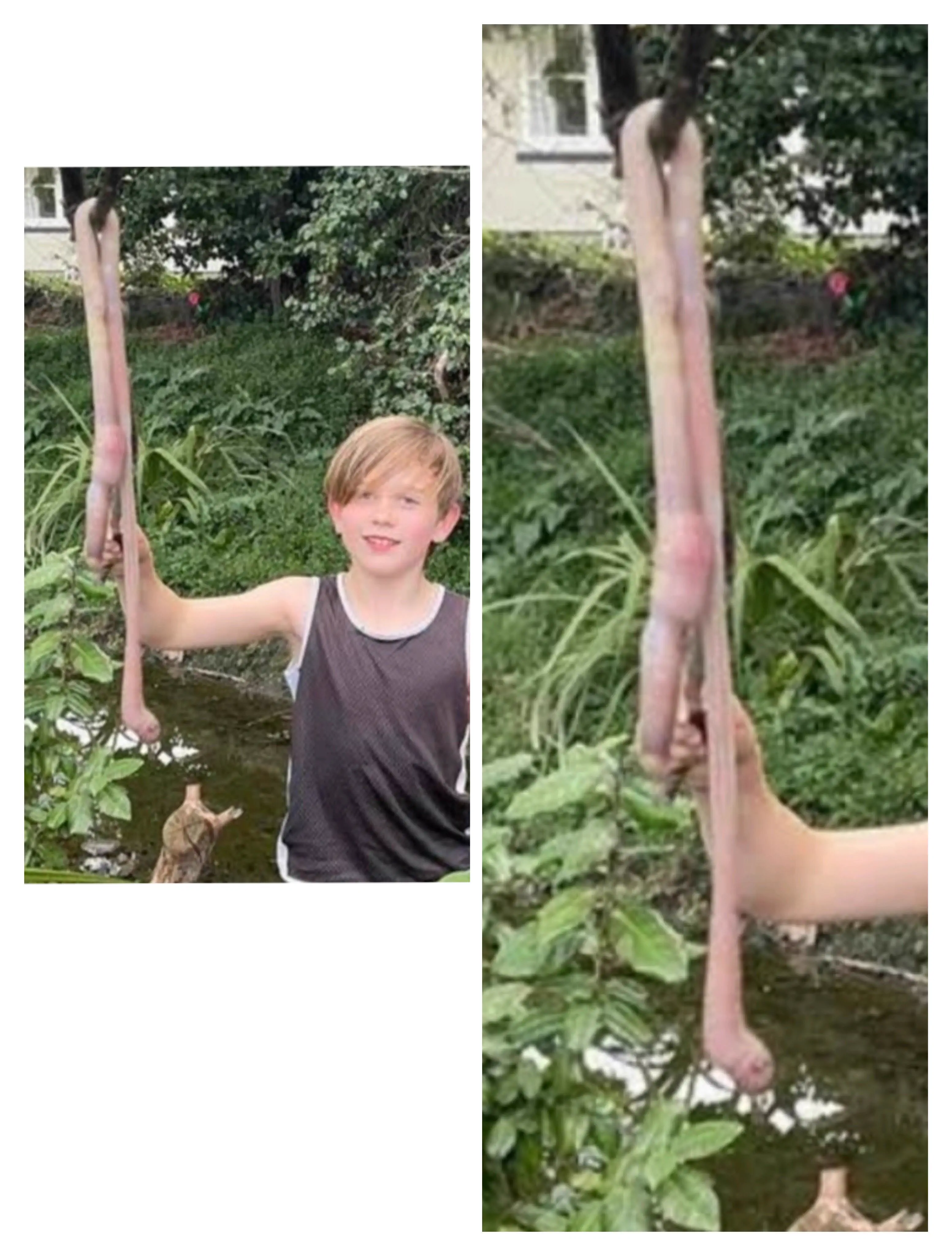Exploring 10 Unbelievable Absolute Units That Will Amaze You! đ 22 Absolute Units of an Earth Worm