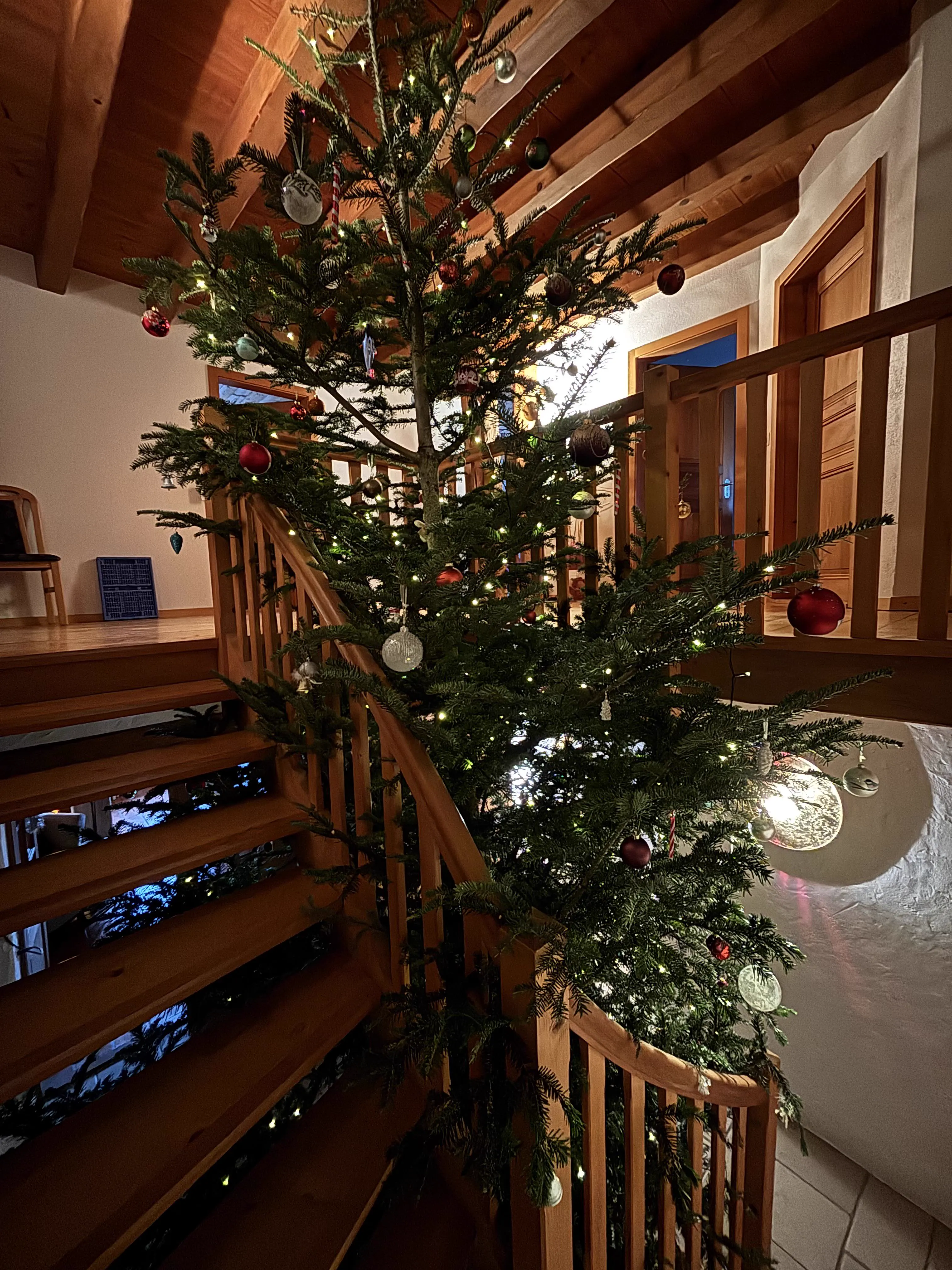 Exploring 10 Unbelievable Absolute Units That Will Amaze You! đ 16 Absolute Units of an Indoor Christmas Tree