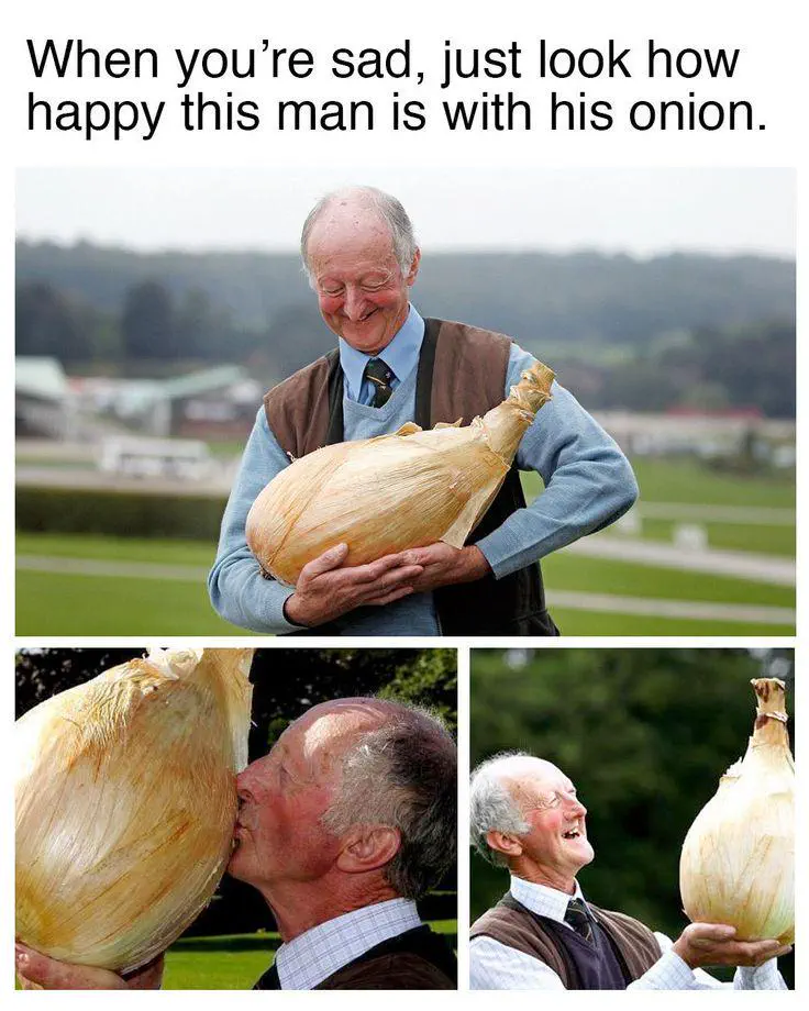 12 Unforgettable Absolute Units Redefining 'Massive'! đ 15 absolute units of an onion 1