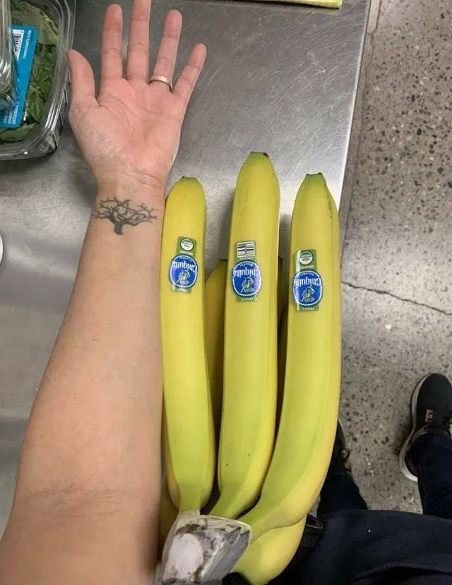 12 Unforgettable Absolute Units Redefining 'Massive'! đ 26 Absolute Units of bananas that demand respect.