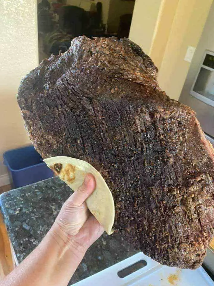 12 Breathtaking Behemoths You Didn't Know Existed! 🌍✨ 16 Absolute Units of brisket in a soft taco
