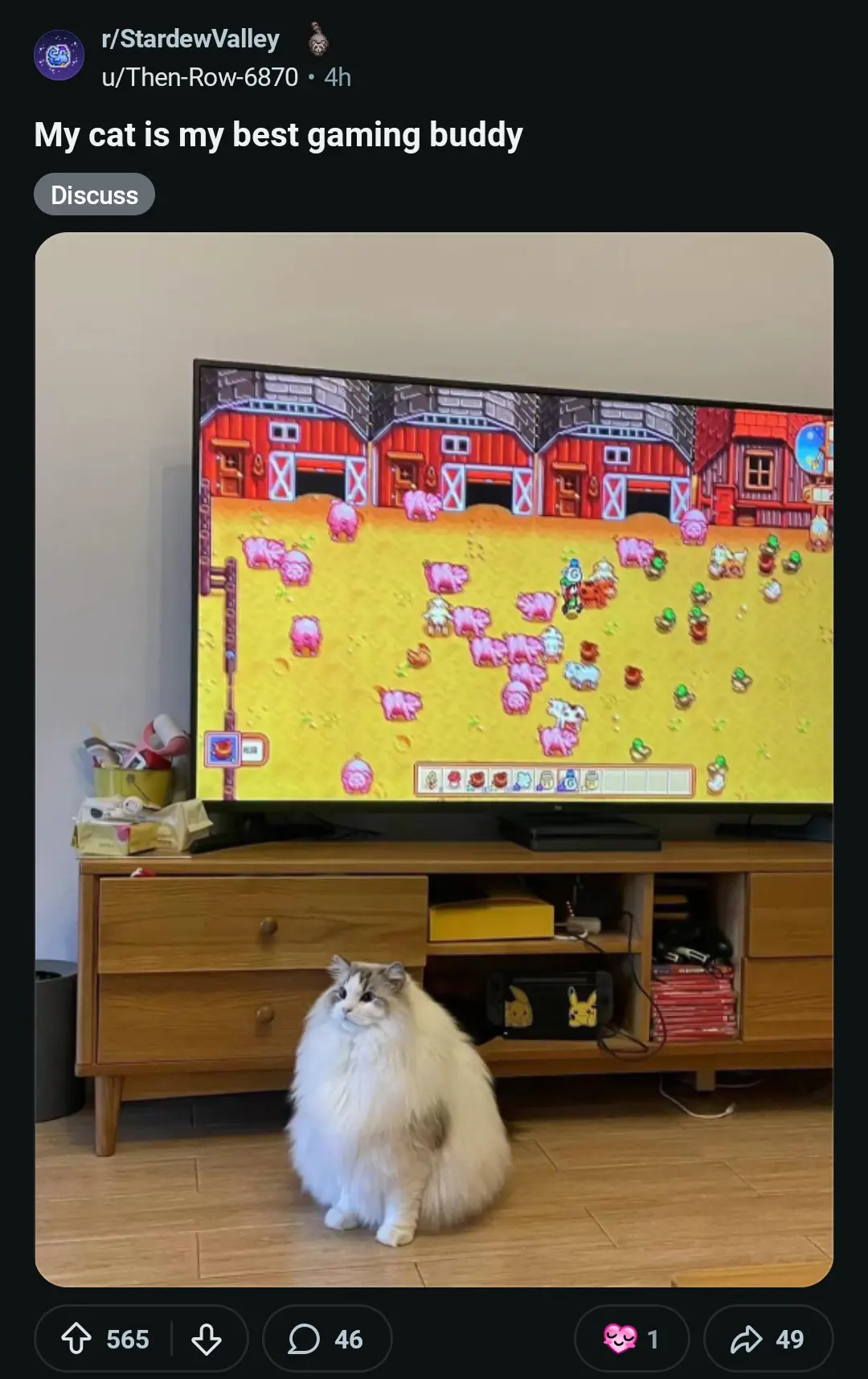 12 Mind-Bending Absolute Units You Need to Witness! 🤯 17 Absolute Units of gaming cat