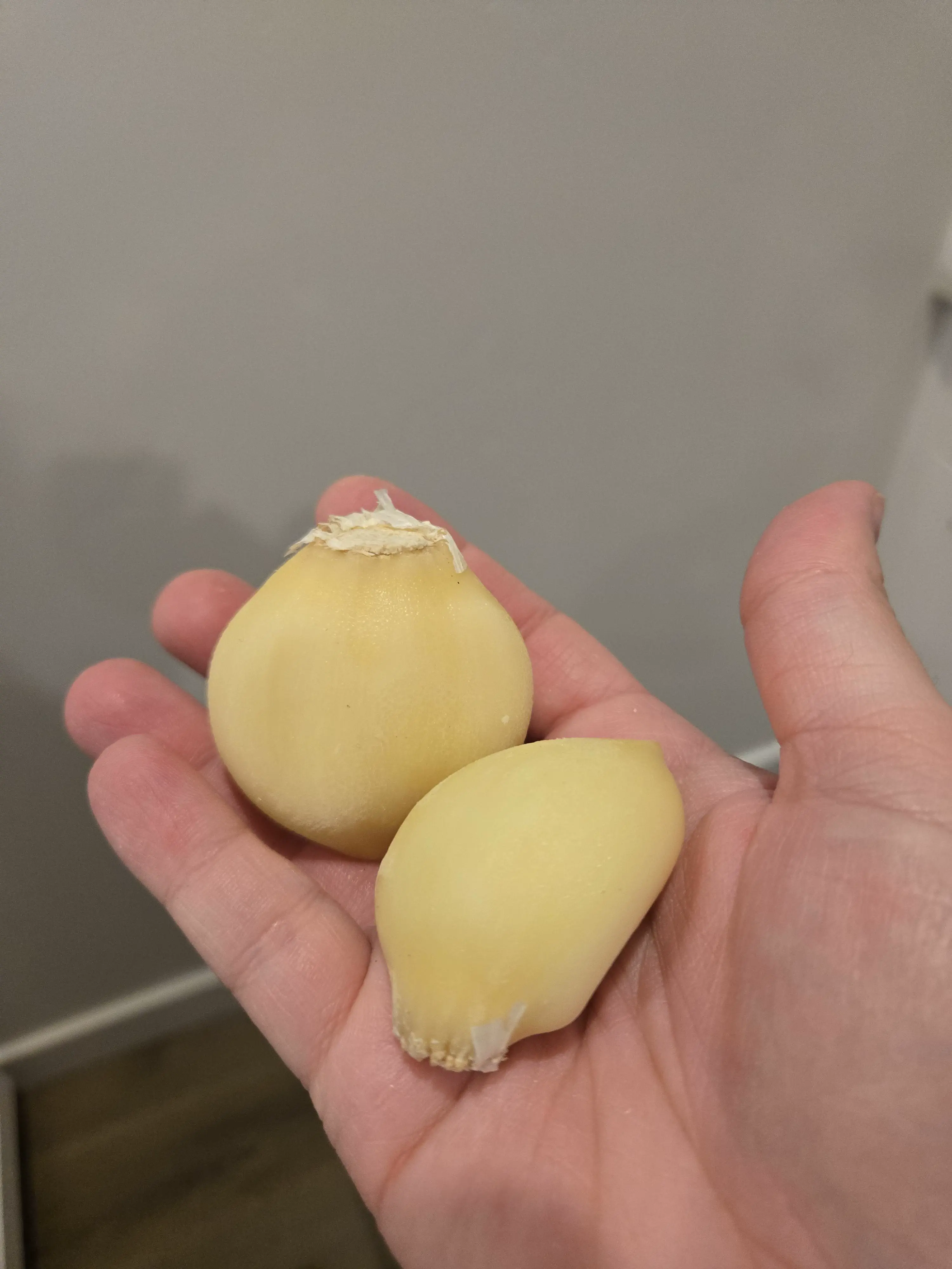 13 Massive Oddities That Will Leave You in Awe! đ„ 24 Absolute Units of garlic cloves