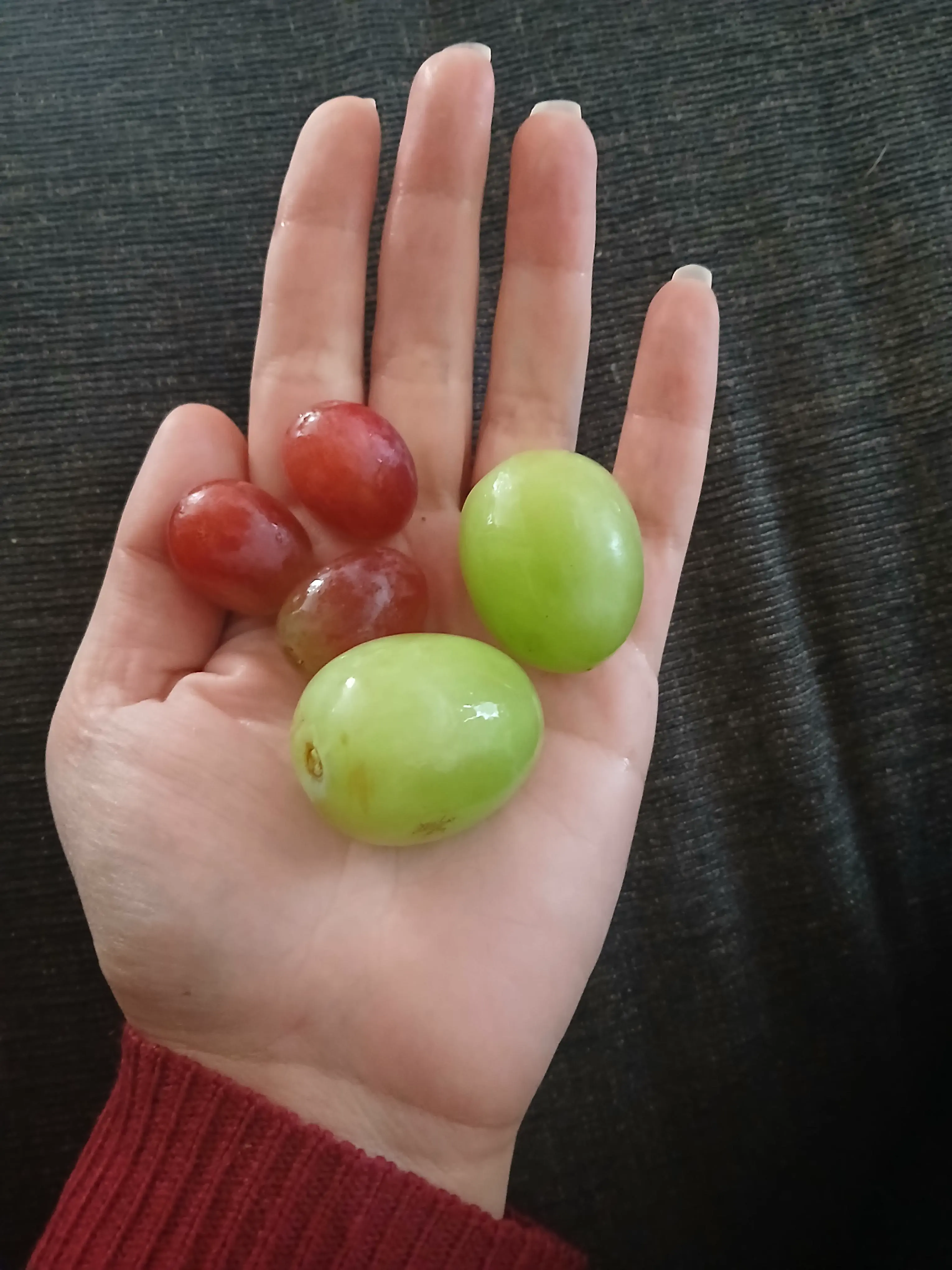 Unveiling 12 Enormous Oddities That Challenge Size Norms! đ 23 Absolute Units of grapes