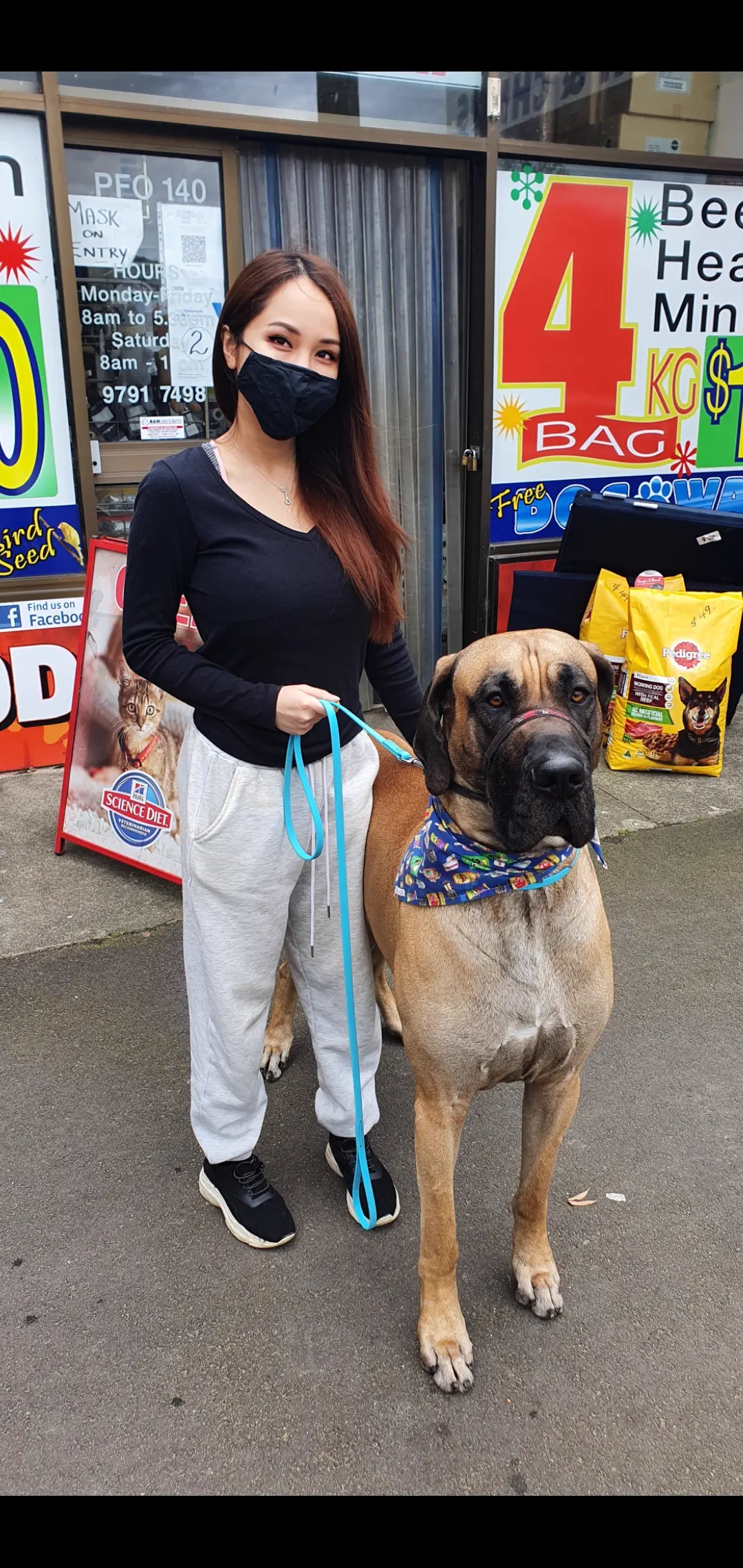 10 Remarkable Absolute Units Redefining Our Perception of Size! 🤯🐾 25 Absolute Units This unit of a dog I met at the dog shop