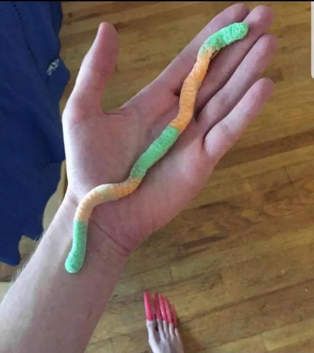 RANKING: The 13 Chonkiest Beings Ever Documented 26 Absolute Units Look at this worm (excuse the foot)