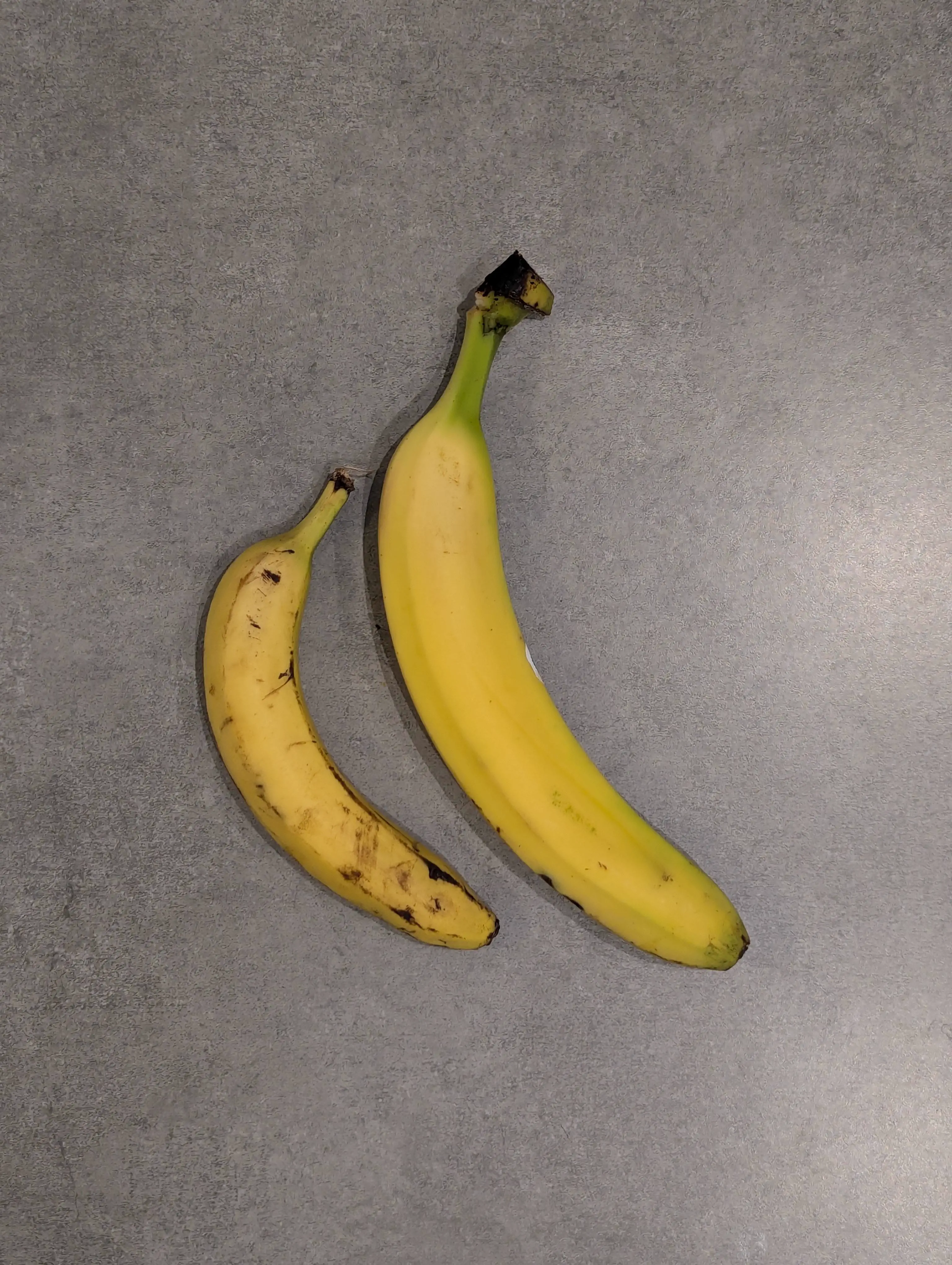 POV: You vs These 9 Absolute Tanks đ« 17 A gigantic banana next to a regular banana for comparison