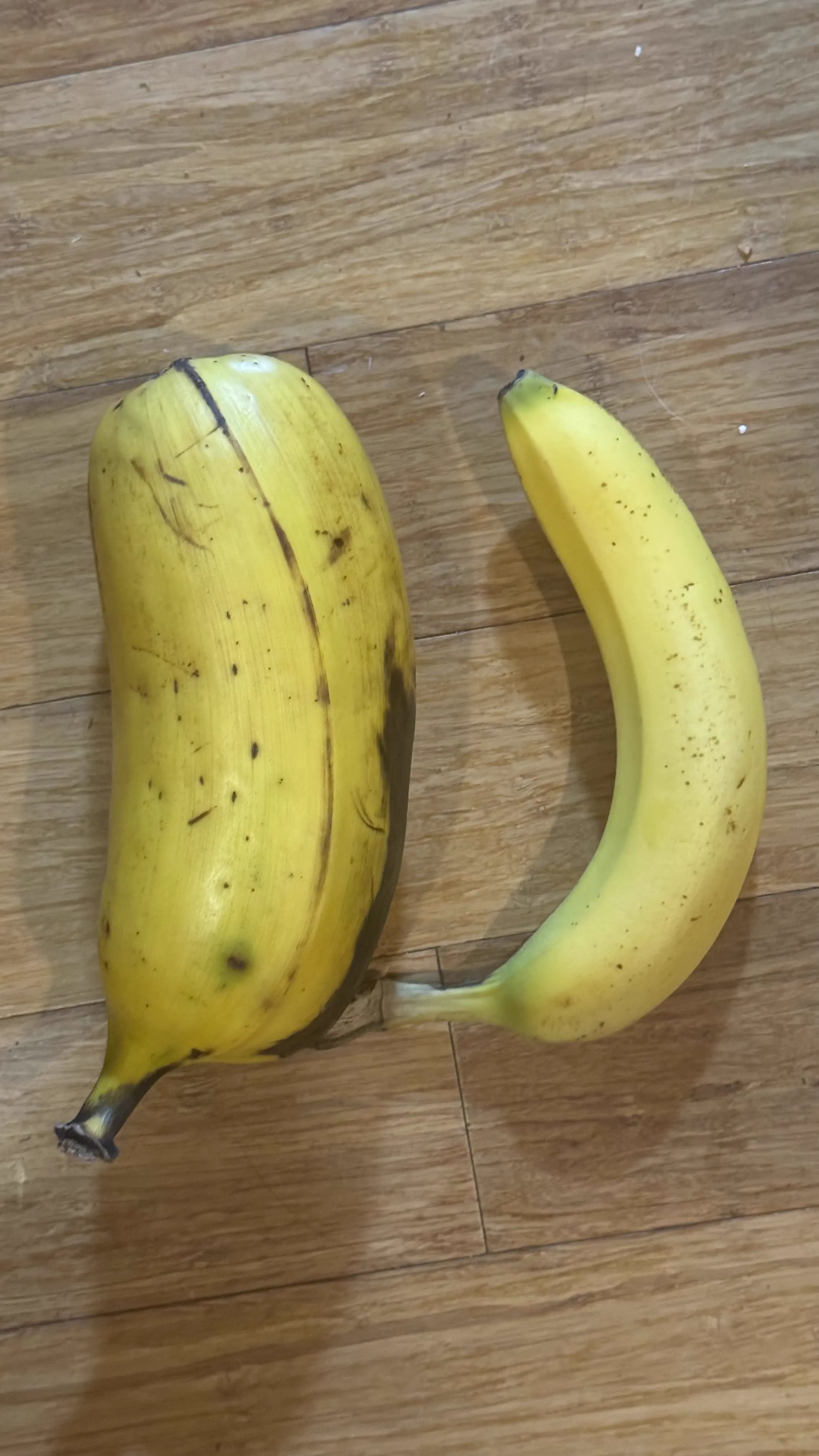 Wait Till You See These 12 Chonky Units Built Different đ« 24 Absolute Units of a Banana banana for scale
