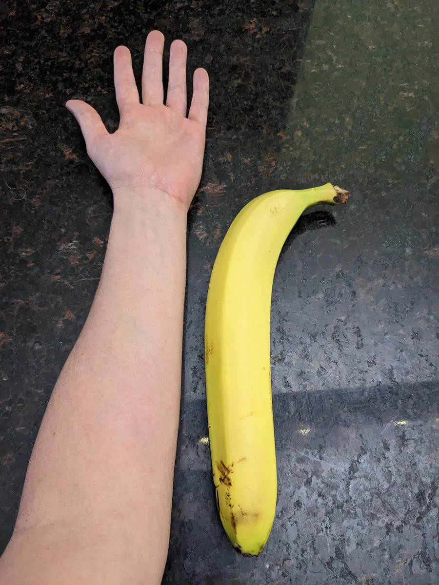 The 8 Most Enormous Beings the Internet Couldn't Scale đ« 14 Absolute Units of a banana