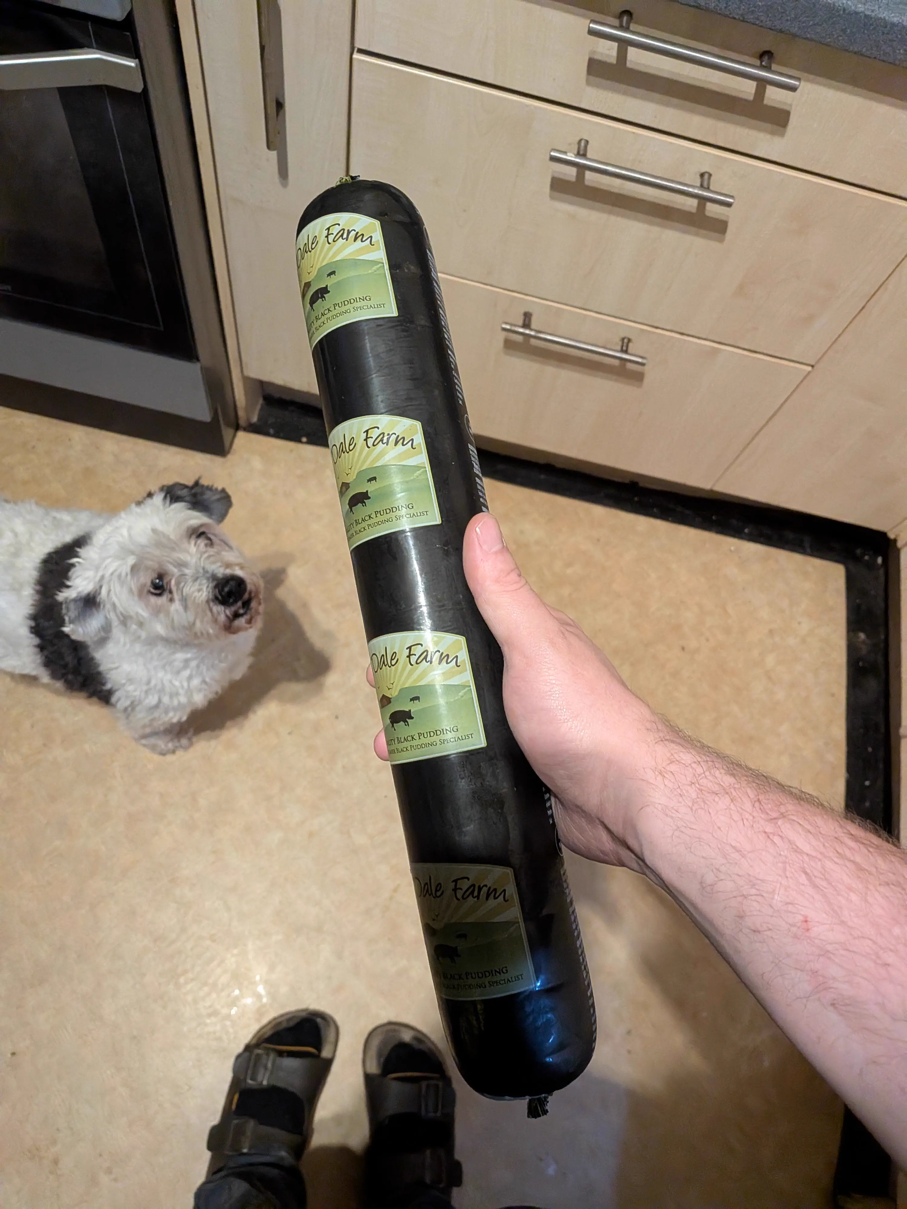 6 Absolute Units We Found That Defy All Logic đ« 12 Absolute Units of a black pudding
