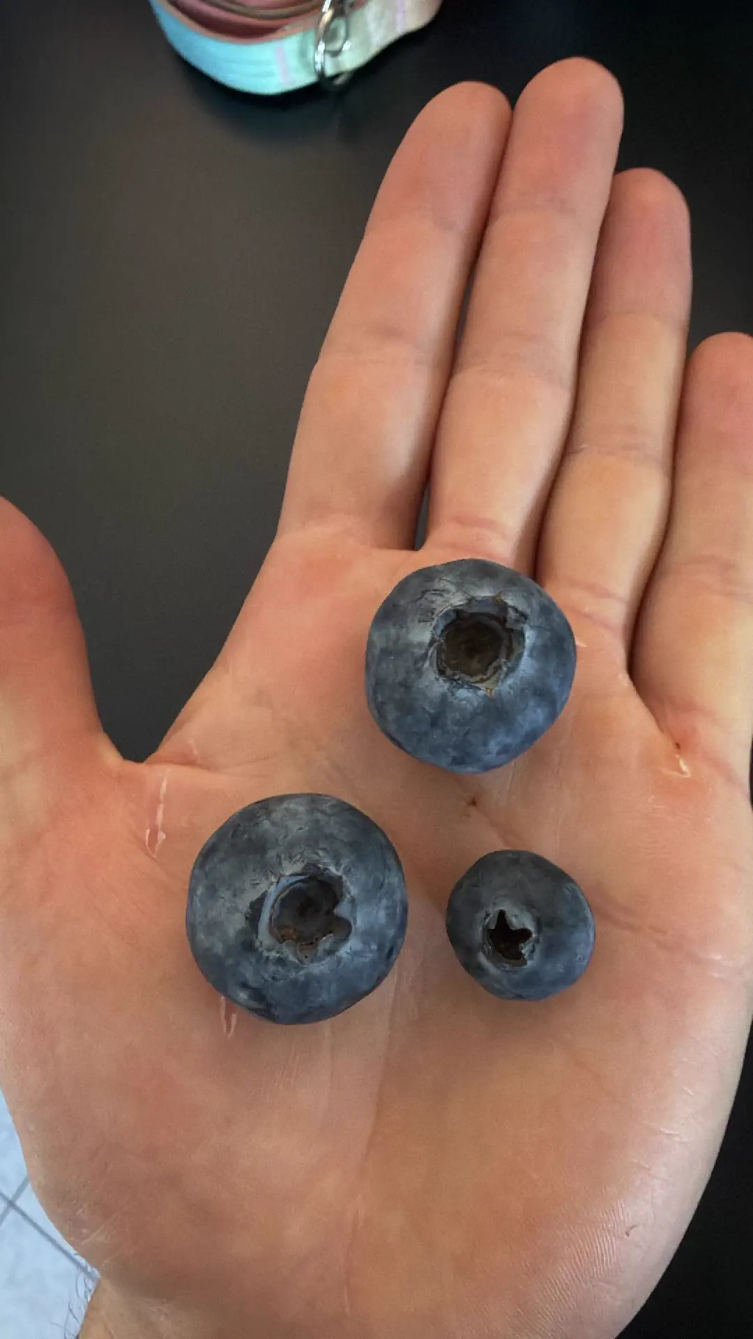The 12 Chonkiest Units the Internet Couldn't Handle đ« 18 Absolute Units of a blueberry