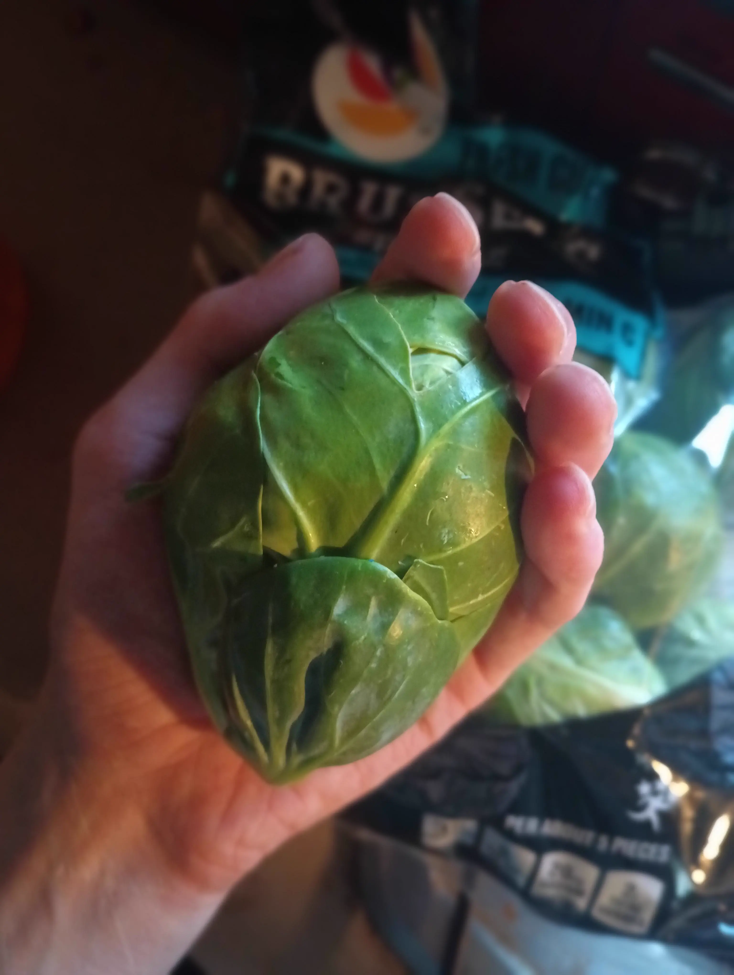 Ranking The 11 Chonkiest Absolute Units Ever Caught đ« 21 Absolute Units of a Brussel Sprout