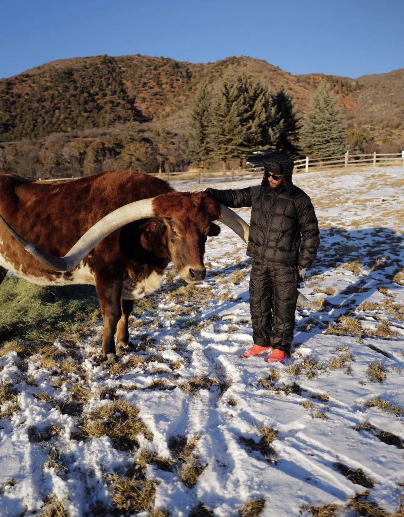 The 8 Chonkiest Beings Ever Documented Online đ« 13 Absolute Units of a bull Formula 1 world champion Lewis Hamilton with his pet cow, Max