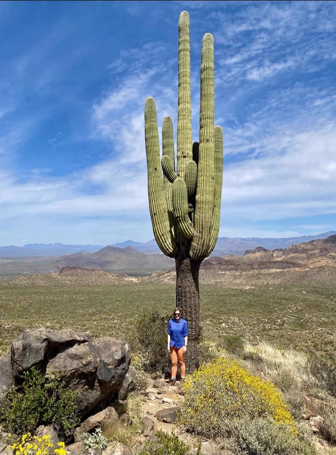 Why Are These 8 Giants So Ridiculously Massive? 11 Absolute Units of a cactus