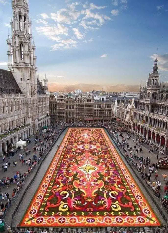 11 Oversized Finds That Shattered Our Reality đ« 15 Massive carpet made entirely of flowers covering Brussels square