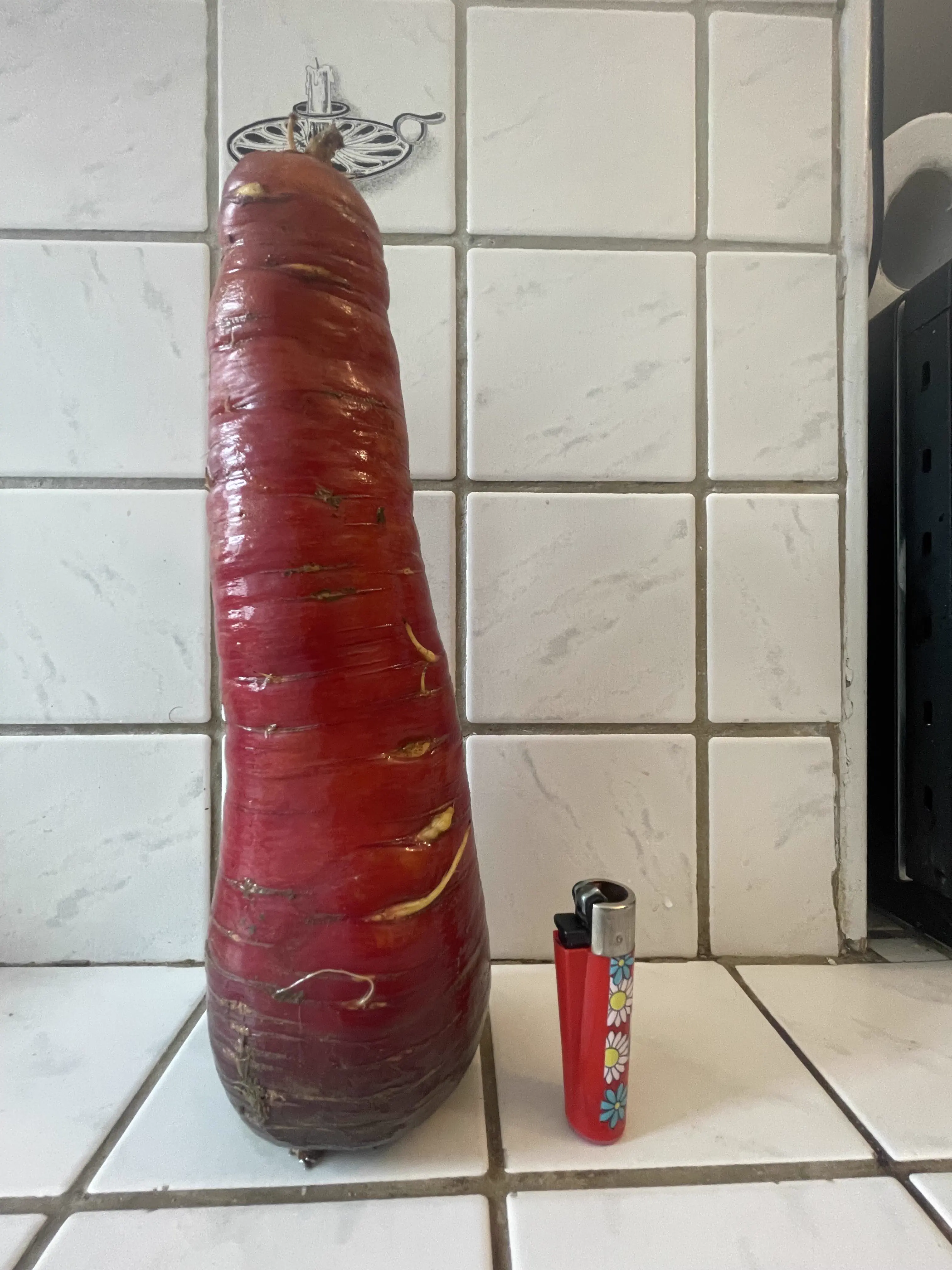 RANKING: The 13 Chonkiest Beings Ever Documented 27 Absolute Units of a carrot