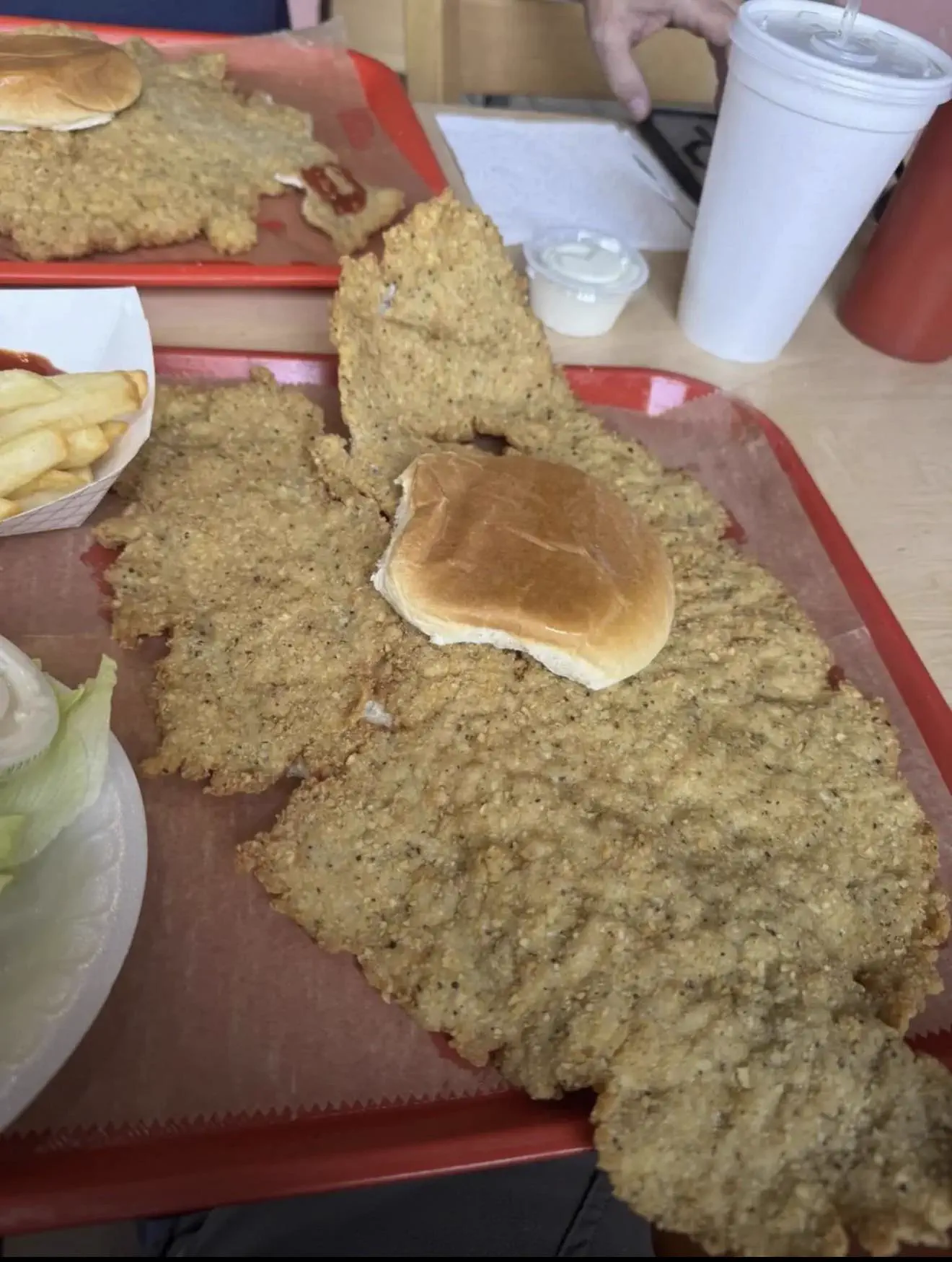 12 Giants That Made Us Rethink Everything 𫣠24 Absolute units of a massive chicken sandwich