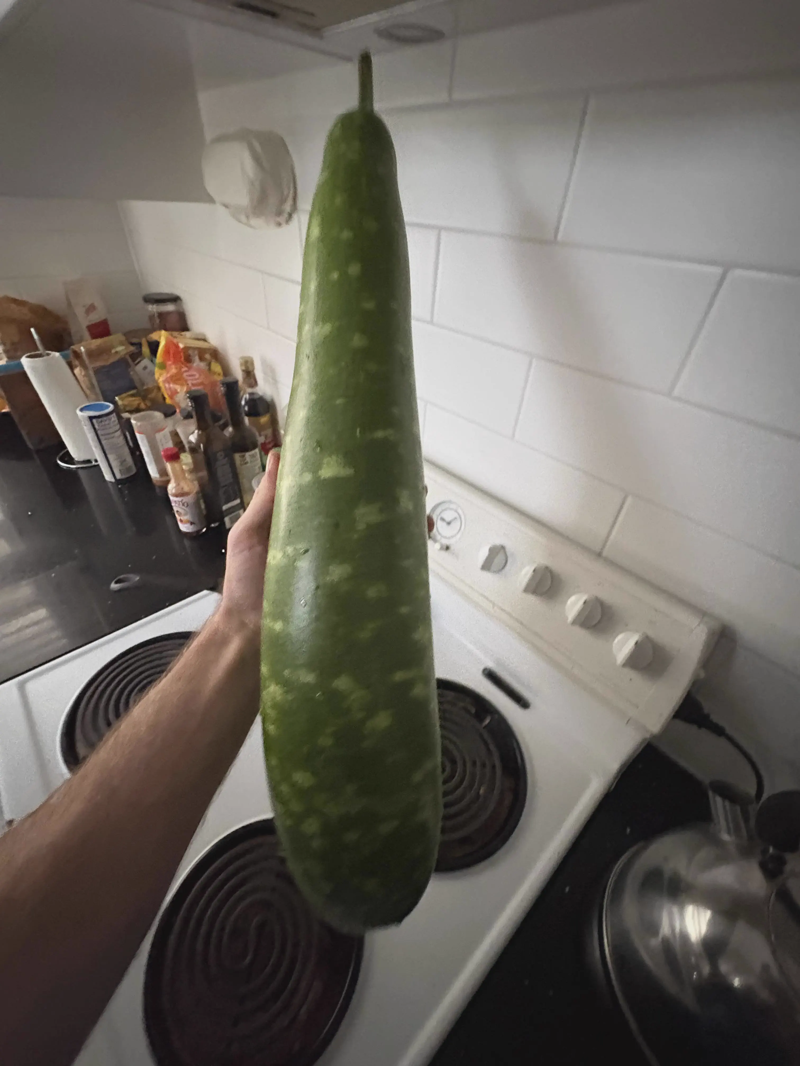 POV: You vs These 11 Absolute Tanks of the Internet 17 Absolute Units of a gourd
