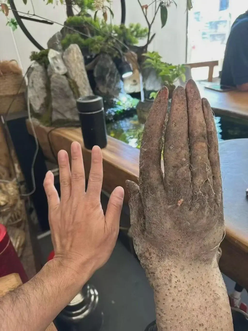 17 Giants That Made Us Question Reality 🫣 28 Absolute Units of a hand shaped yam