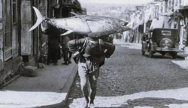 The 8 Chonkiest Beings Ever Documented Online đ« 11 Absolute Units of a historical tuna fish.
