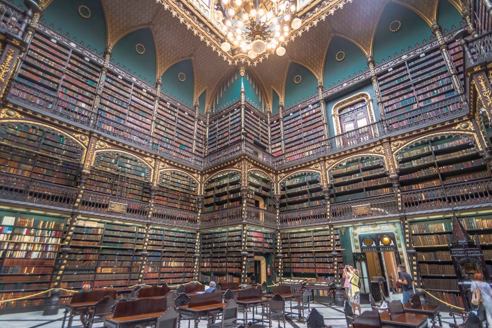 7 Chonky Units That Snapped Our Sense of Scale đ« 14 Absolute Units of a library.
