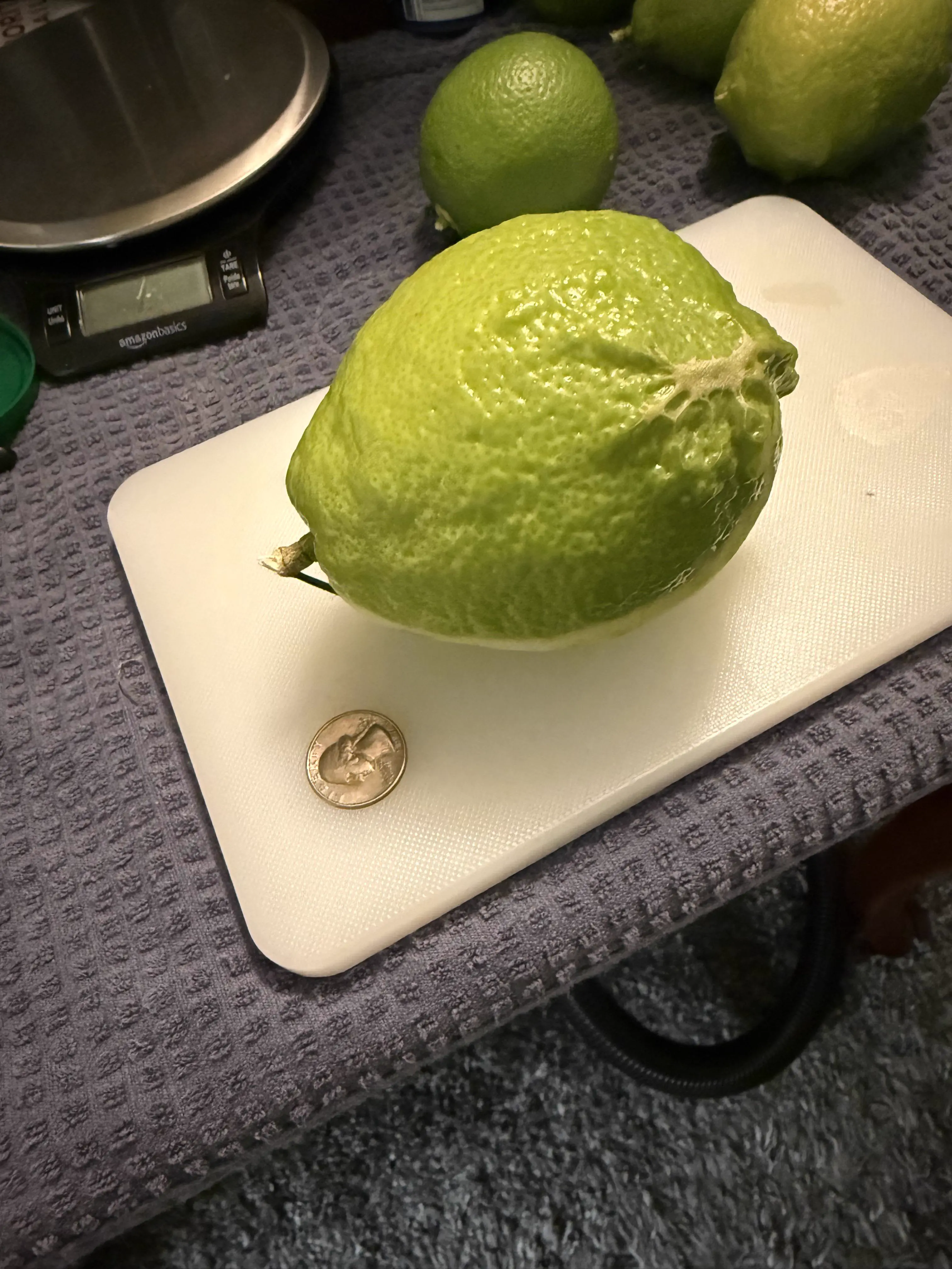 We Found 14 Chonky Wonders That Defy Logic and Shock Fans 😲 20 Absolute Units of a lime