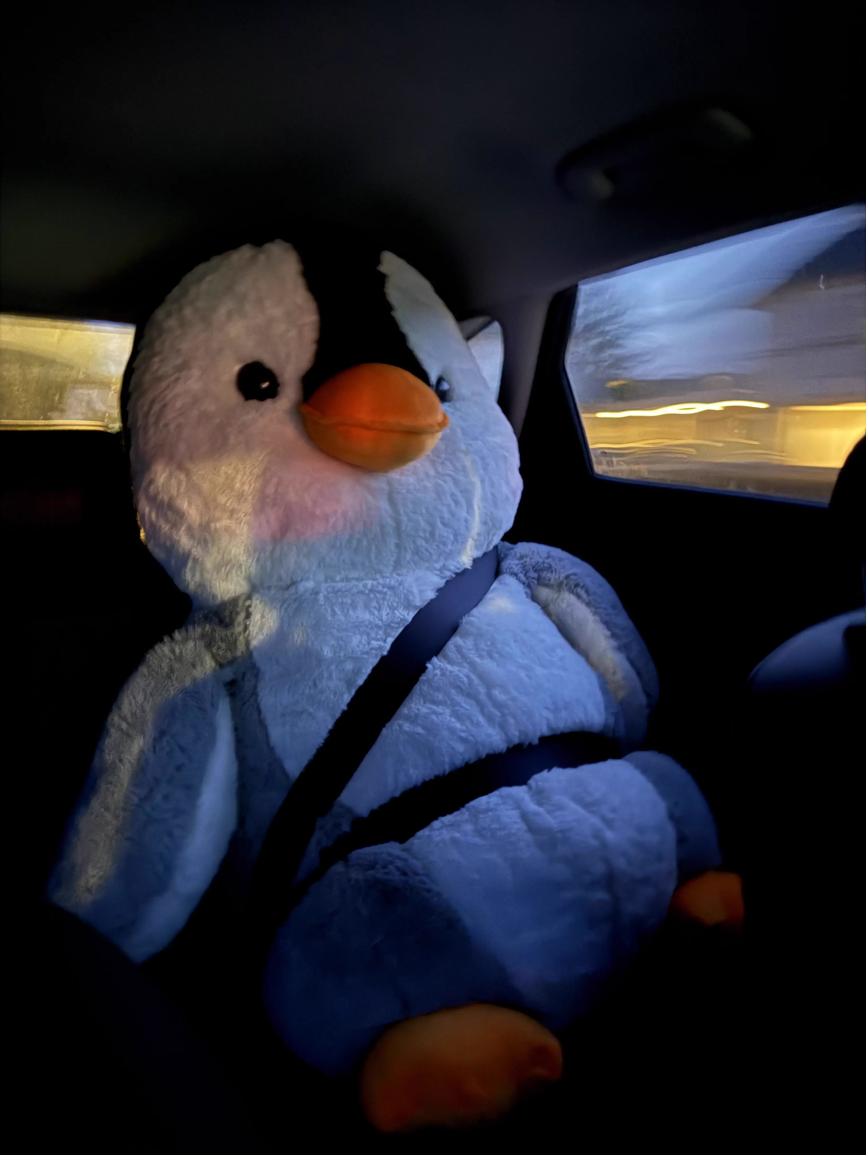 12 Giants That Made Us Rethink Everything 𫣠14 Absolute units of a penguin plushie that is massively oversized