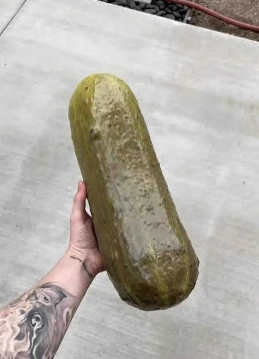 Why Are These 8 Giants So Ridiculously Massive? 18 Absolute Units of a pickle