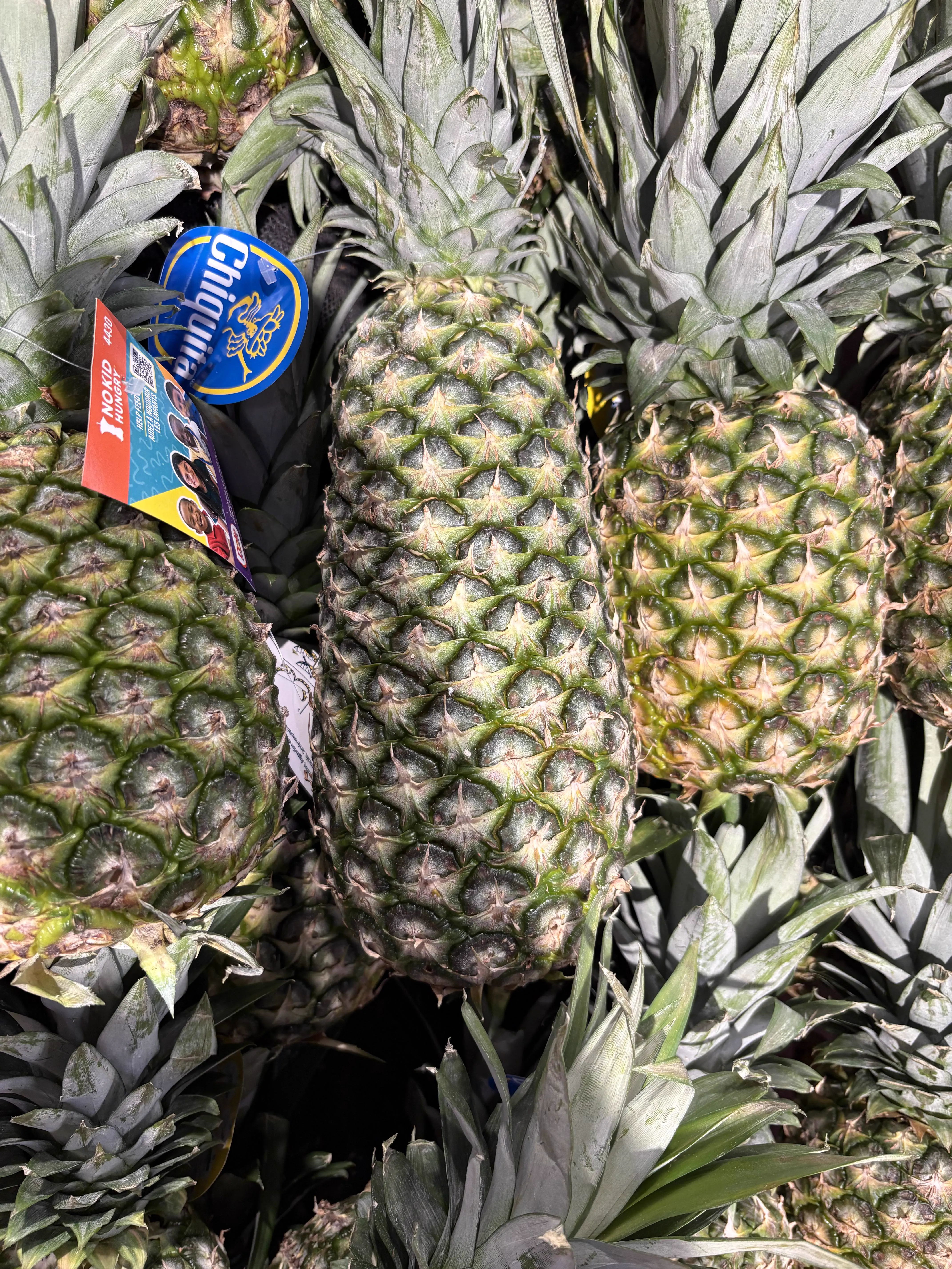 We Found 8 Things That Have No Business Being This Big đ« 12 Oversized pineapple that dwarfs normal fruit