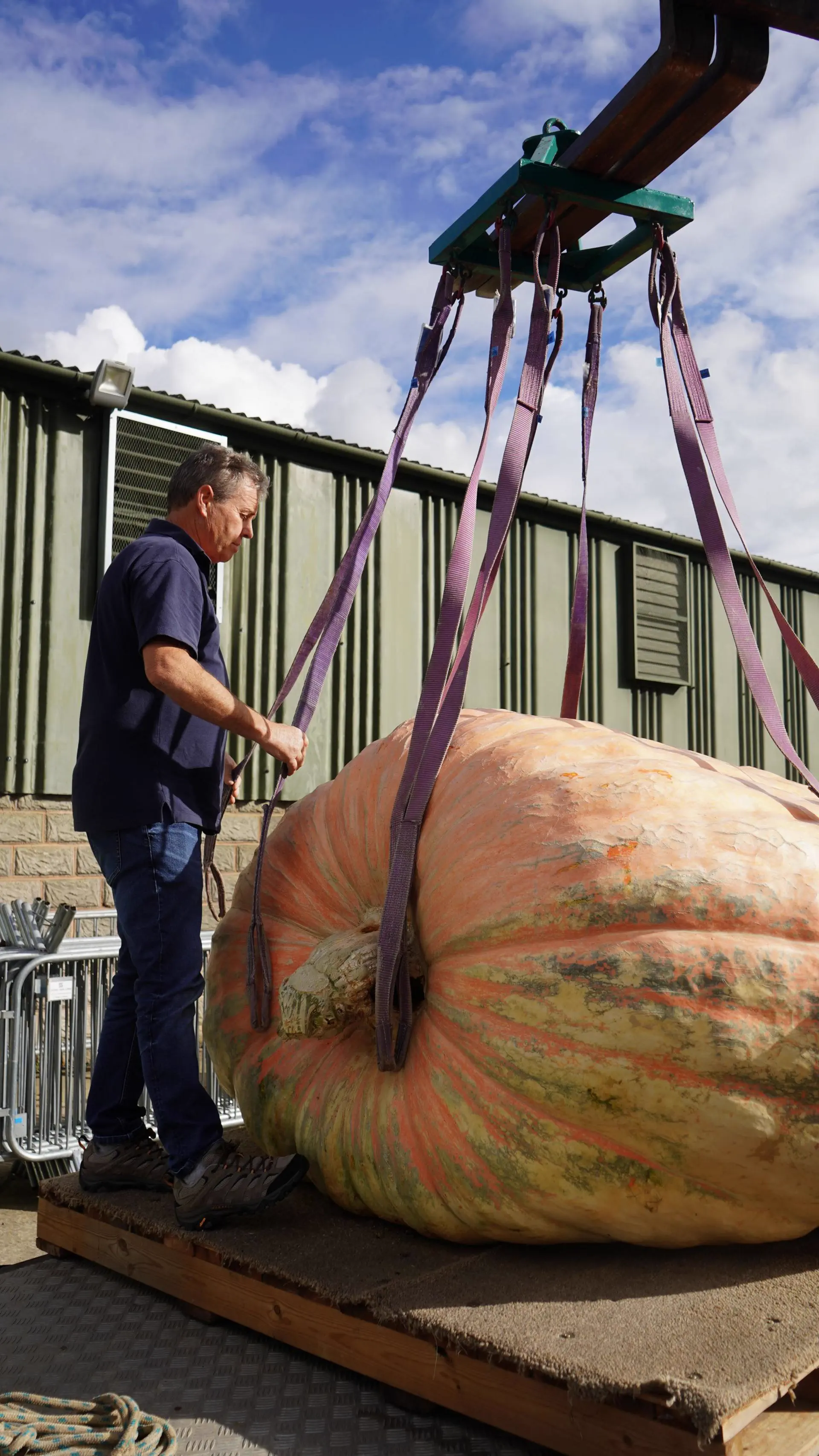 14 Big Boys That Stole Our Hearts and Broke the Scale đ« 18 Absolute Units of a pumpkin.