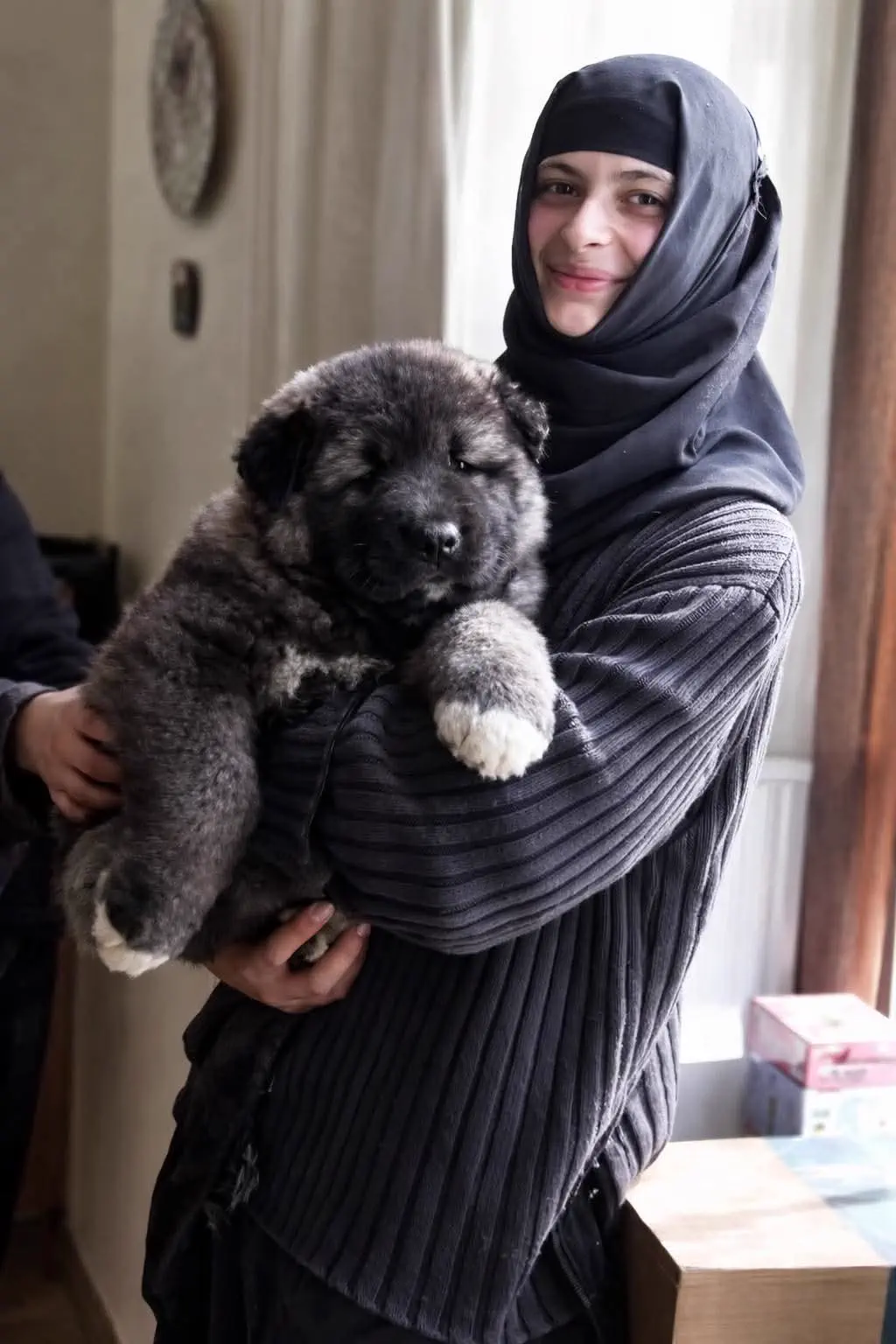 Ranking The 11 Chonkiest Absolute Units Ever Caught đ« 20 Absolute Units of a puppie