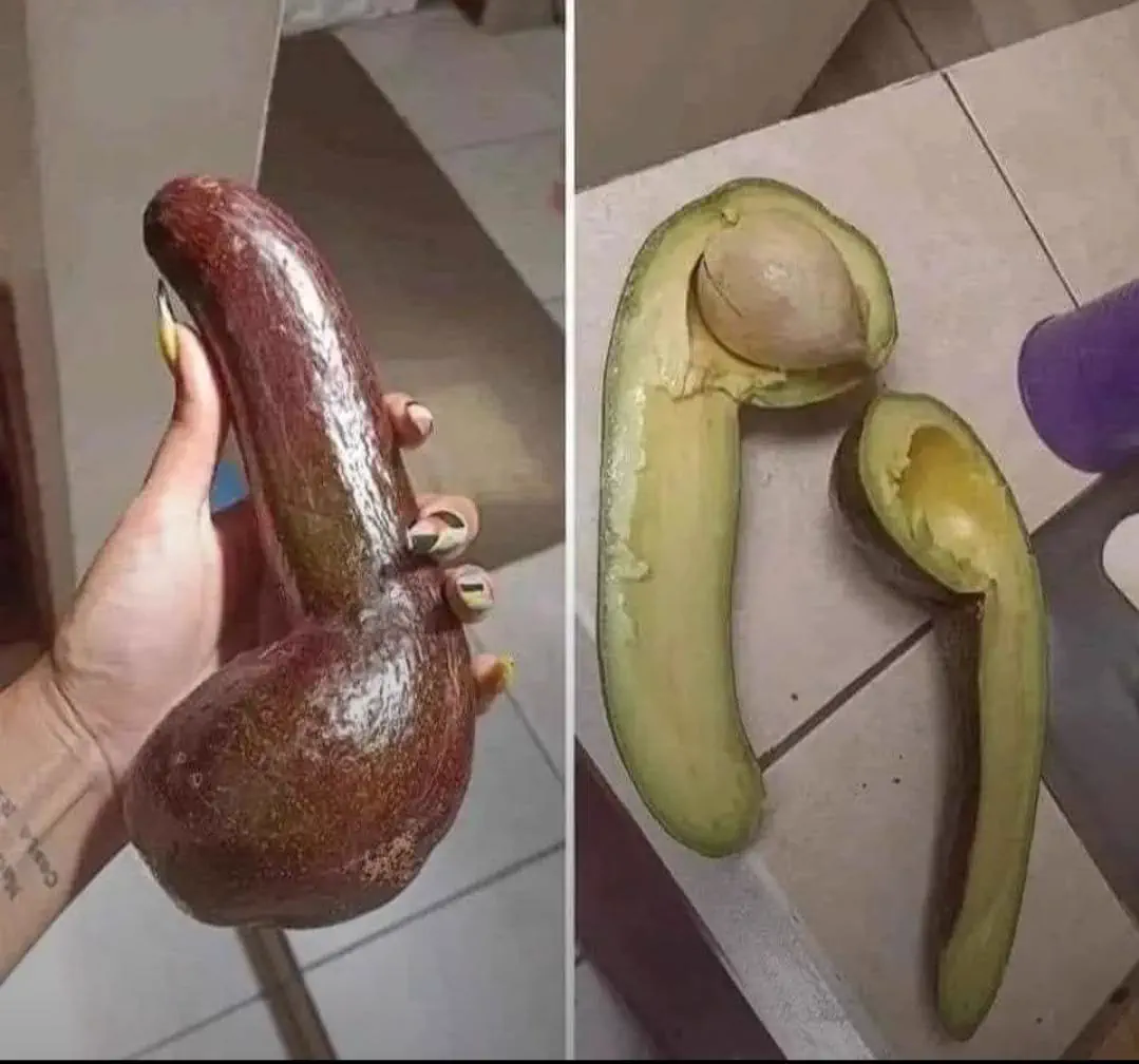 11 Absolute Giants That Made Us Question Reality 23 Absolute Units of a pura vida avocado