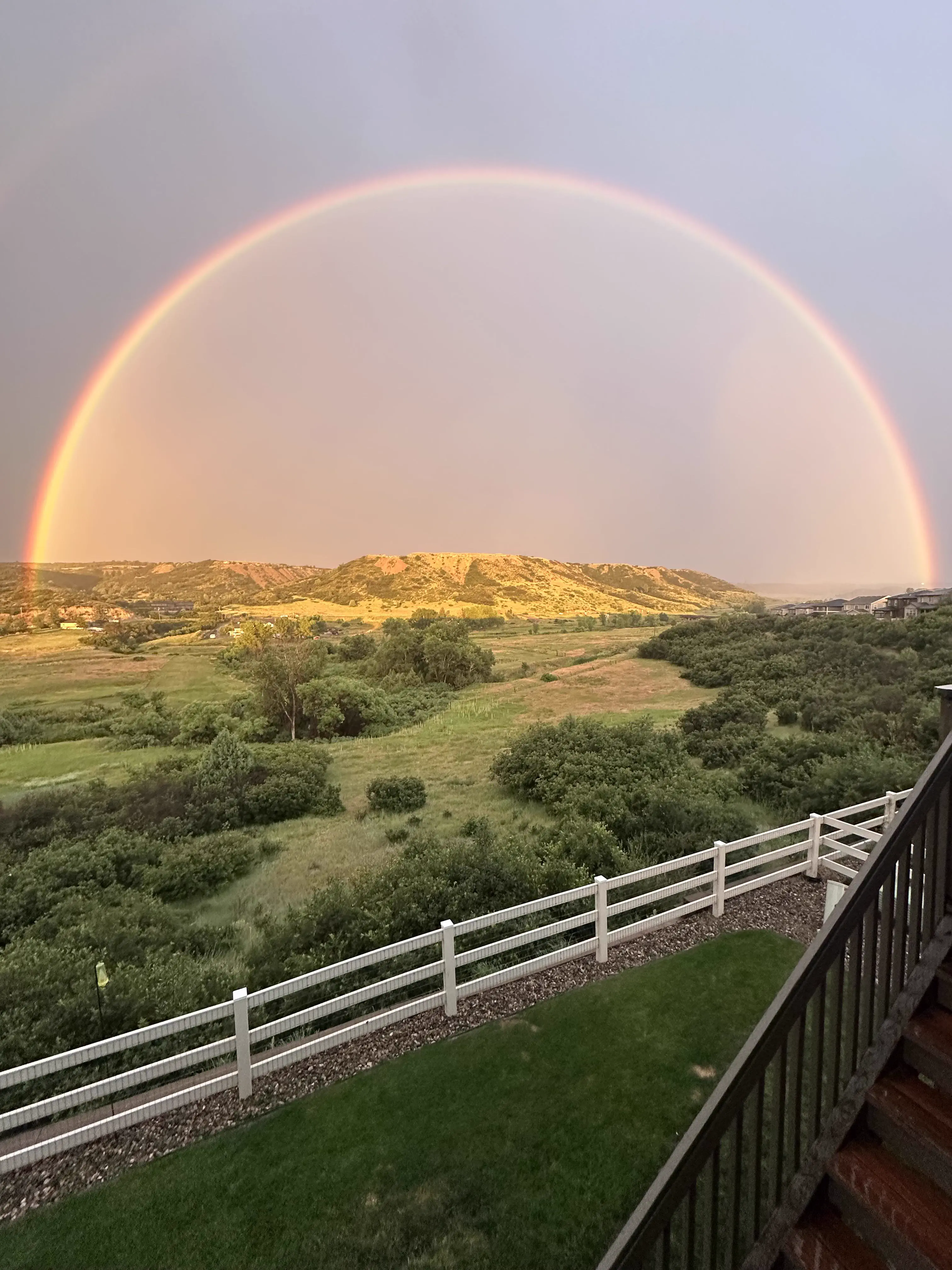 The 8 Chonkiest Beings Ever Documented Online đ« 17 Absolute Units of a rainbow