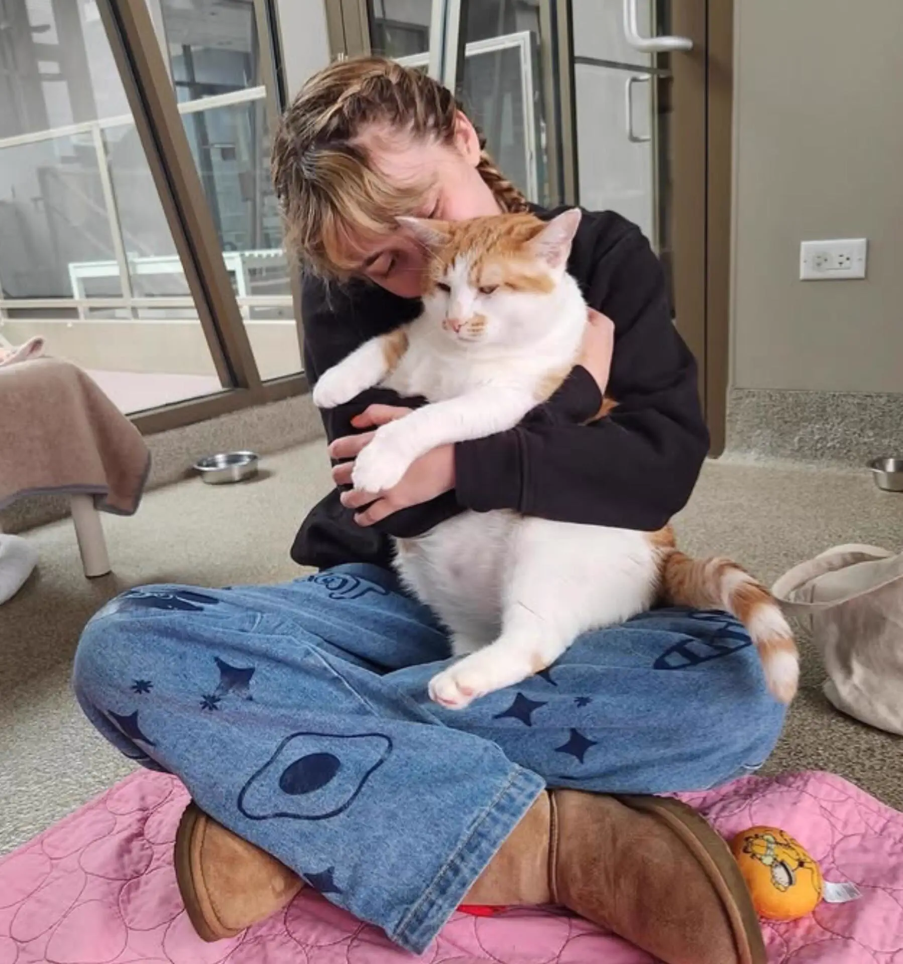 7 Chonky Units That Snapped Our Sense of Scale đ« 16 Absolute Units of a rescue cat.