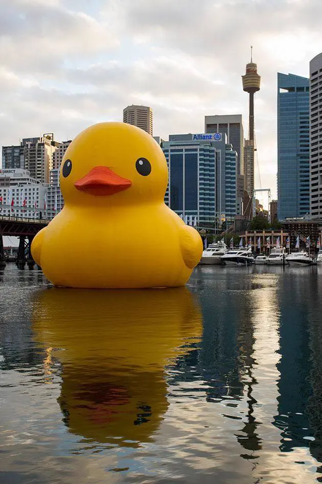 RANKING: The 13 Chonkiest Beings Ever Documented 17 Absolute Units of a rubber duck