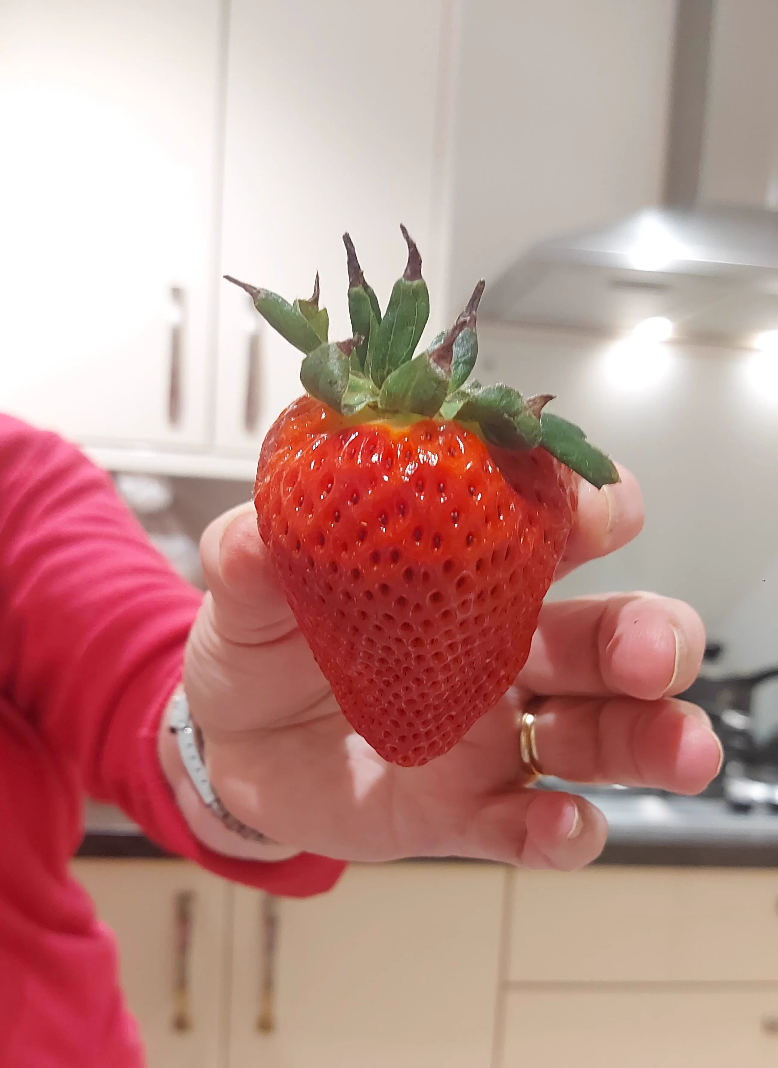 We Found 14 Chonky Wonders That Defy Logic and Shock Fans 😲 26 Absolute Units of a Strawberry