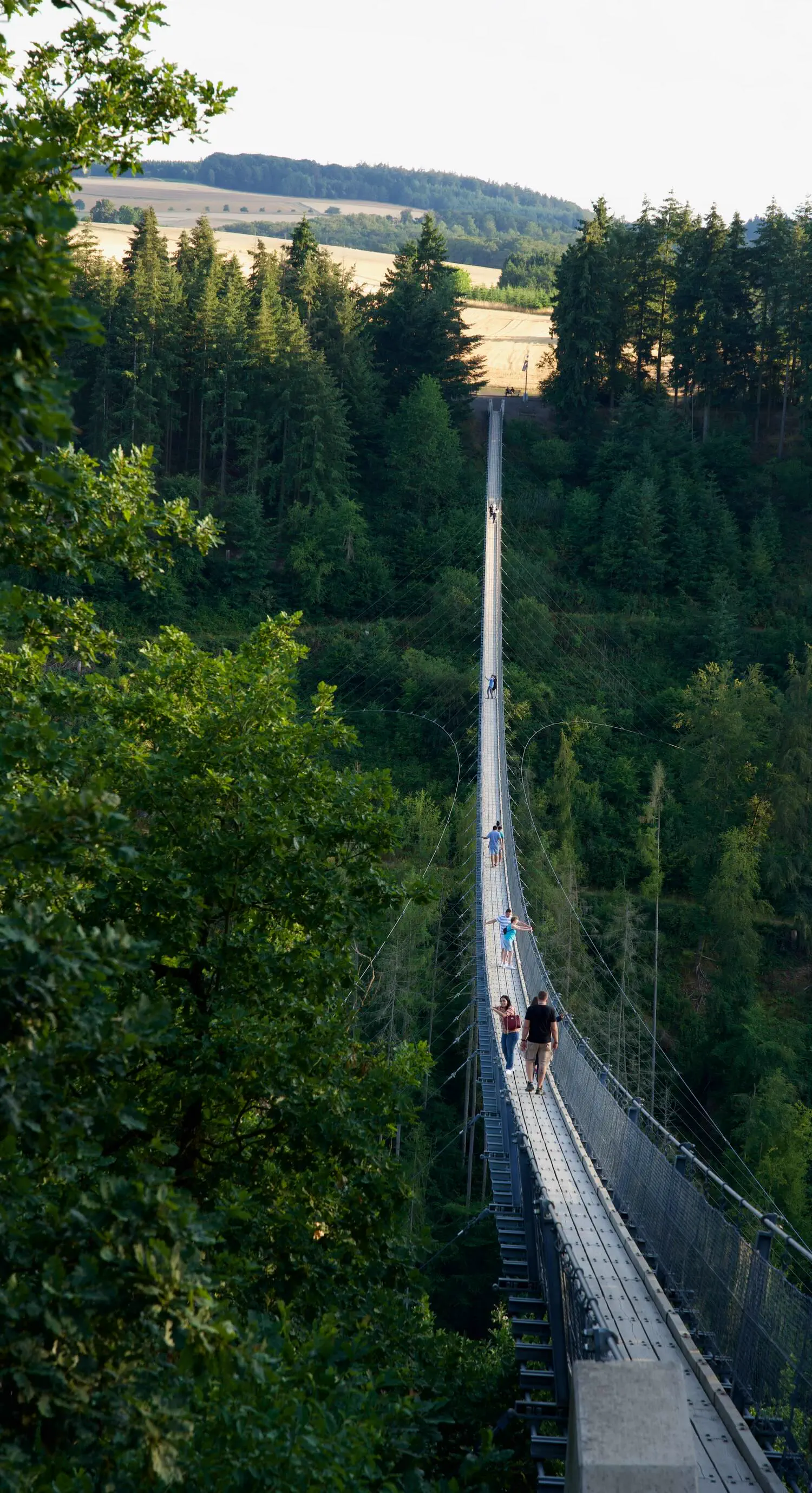 Ranking The 11 Chonkiest Absolute Units Ever Caught đ« 24 Absolute Units of a suspension bridge