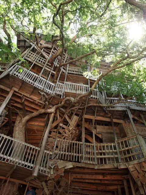 We Found 11 Things That Have No Right Being This Big đ« 15 Absolute Units of a tree house.