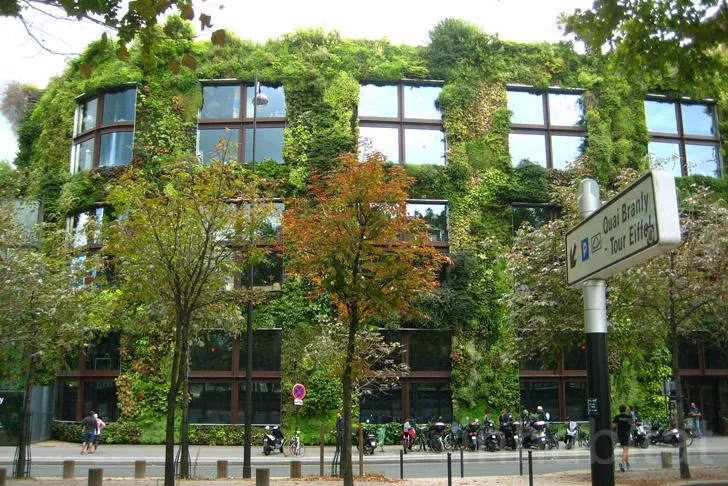 Why Are These 10 Things So Absurdly Massive?𫣠19 Absolute Units of a Vertical Garden