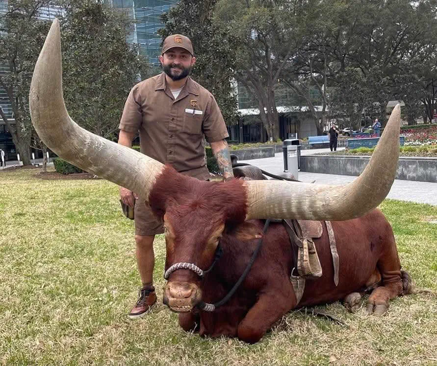 The 12 Chonkiest Units the Internet Couldn't Handle đ« 15 Absolute Units of a Watusi