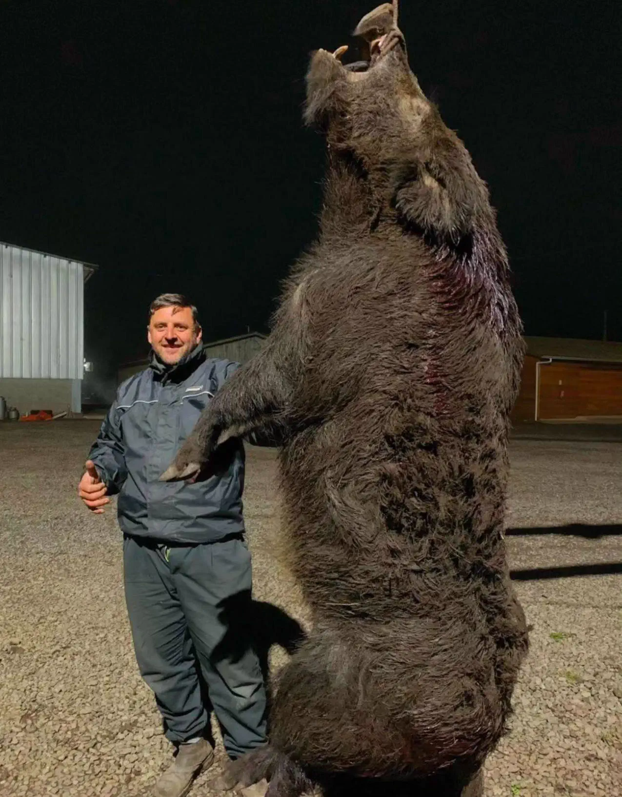 14 Absolute Units That Broke Every Known Scale 🫣 22 Massive wild boar that is an absolute unit