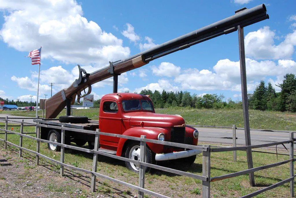 The 10 Most Enormous Beings the Internet Caught đ« 16 Absolute Units of a working rifle.