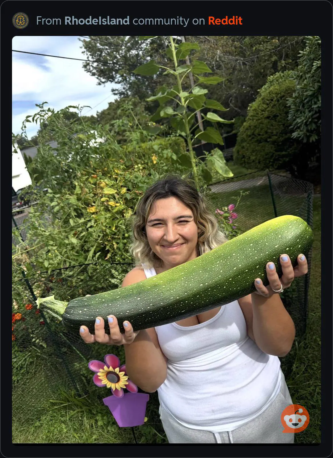 POV: You vs These 9 Absolute Tanks đ« 14 A gigantic zucchini that looks more like a weapon than a vegetable