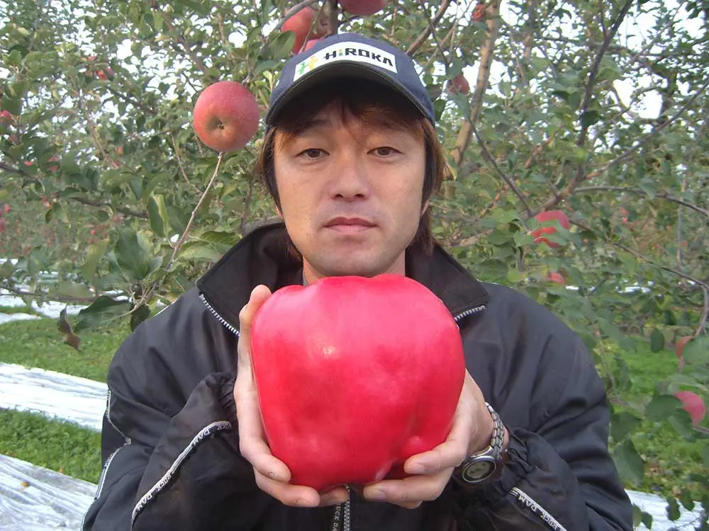 14 Big Boys That Stole Our Hearts and Broke the Scale đ« 21 Absolute Units of an apple.