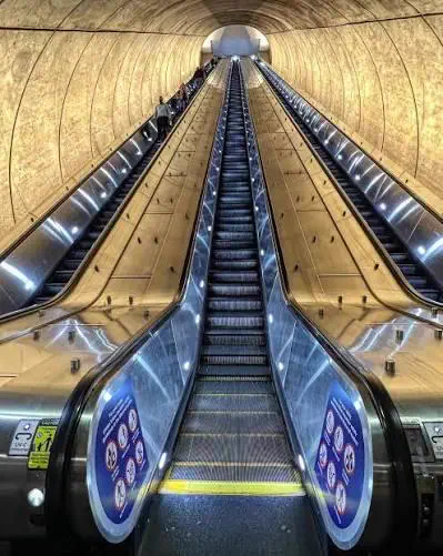 Wait Till You See These 8 Wonders of Absolute Units 🫣 11 Absolute Units of an escalator