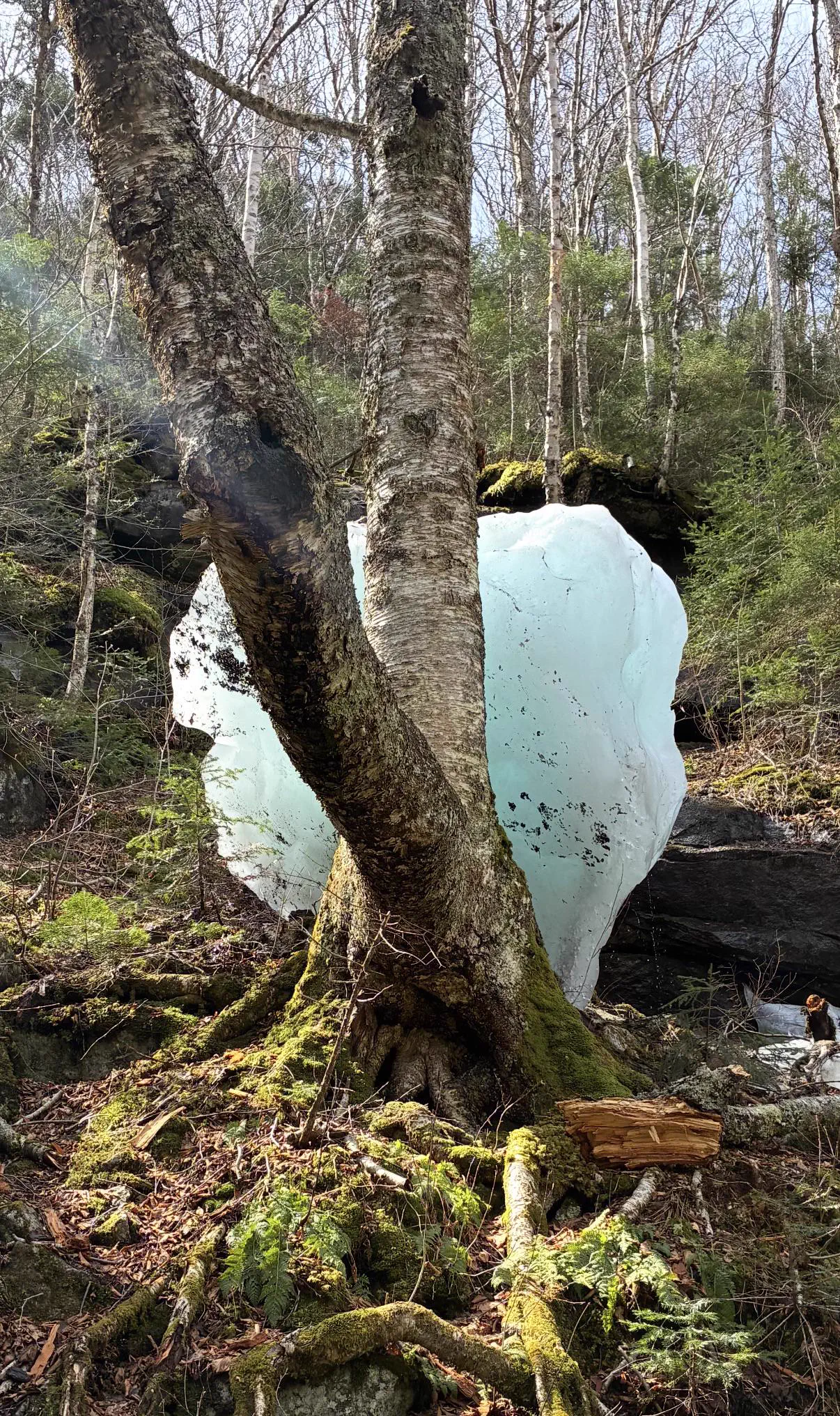 14 Absolute Units That Broke Every Known Scale 🫣 29 Massive ice block that is an absolute unit