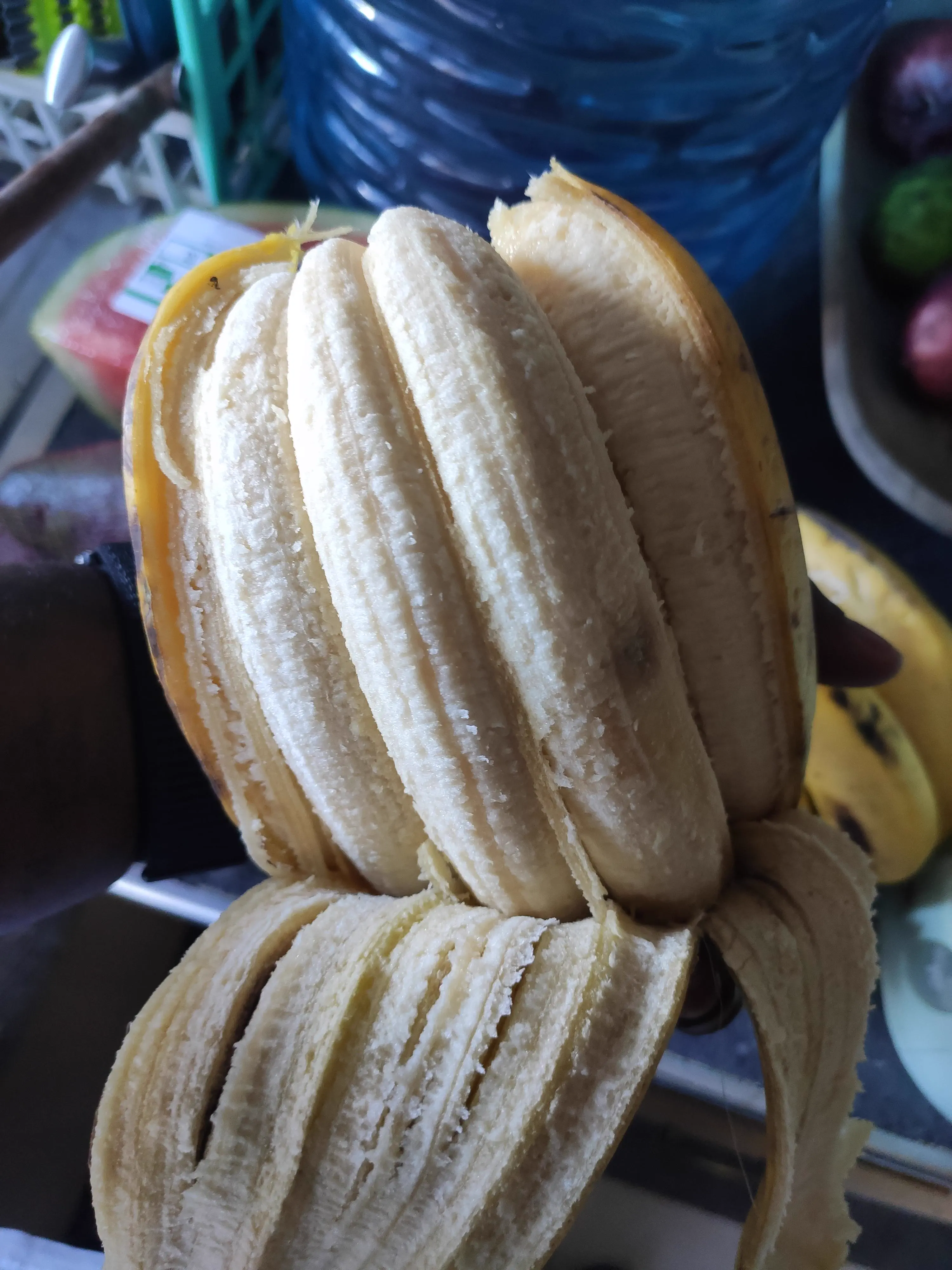 Wait Till You See These 8 Wonders of Absolute Units 🫣 18 Absolute Units of merged bananas