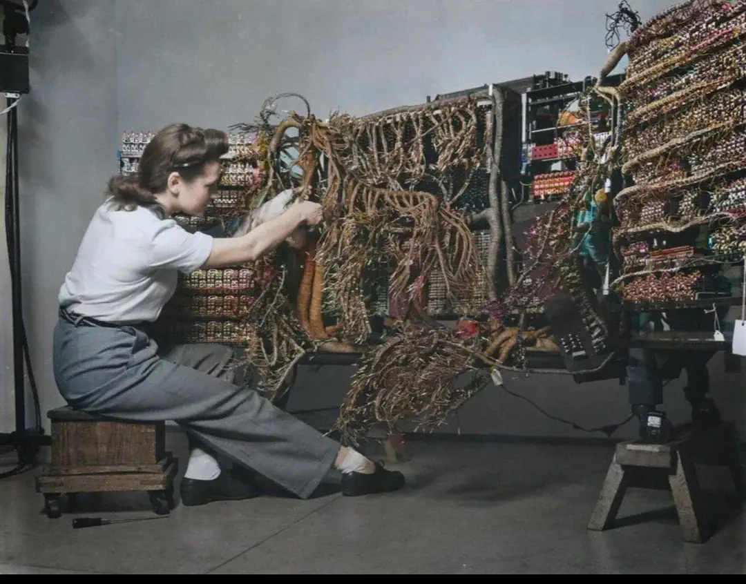 The 10 Most Enormous Beings the Internet Caught đ« 13 Absolute Units of some early computer wiring.