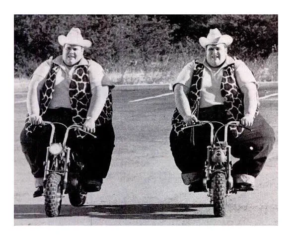 14Colossal Things That Had No Right Being That Big𫣠36 Absolute Units of 1972-1979 The McGuire Twins