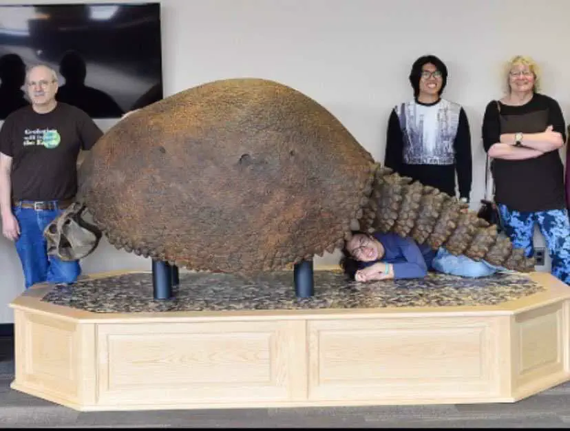 Wait Till You See These 7 Colossal Finds🫣 15 Absolute Units Glyptodon close relatives of the armadillo alive during the Pleistocene epoch